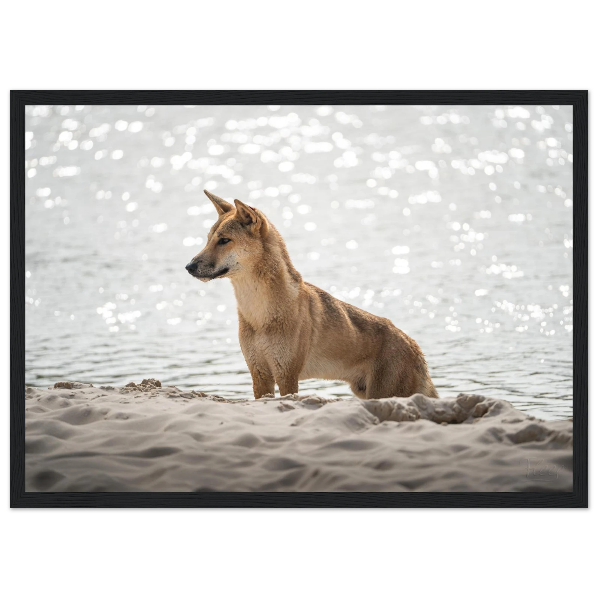 13d73031-ec6b-4974-af00-9f44338329f2