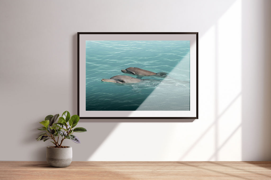 13e5bd80-8a09-4b77-8e39-30b76c7e1dd3