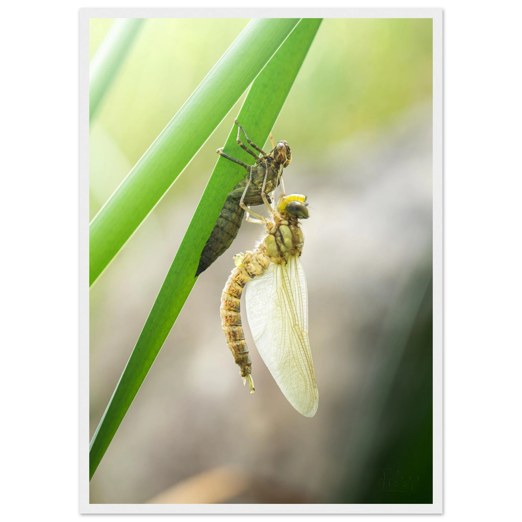 14a17d82-7fbc-43e0-8e26-dbad3086d416