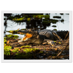 151dc891-998f-41e0-ab77-f5c57019d954