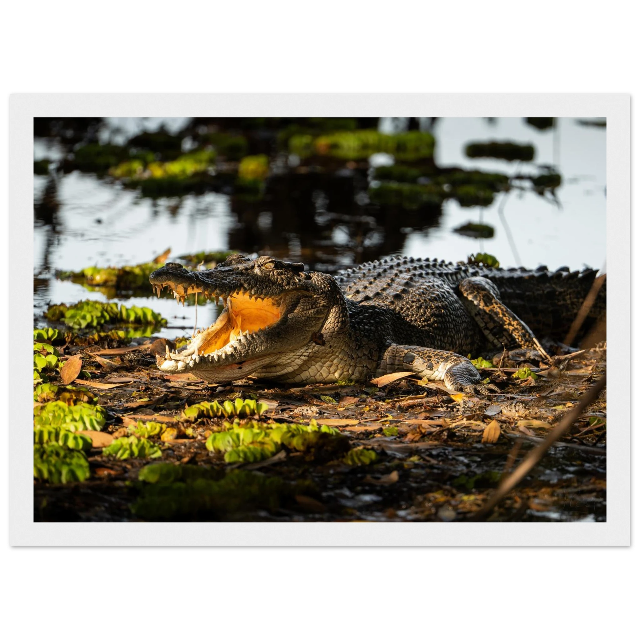 151dc891-998f-41e0-ab77-f5c57019d954