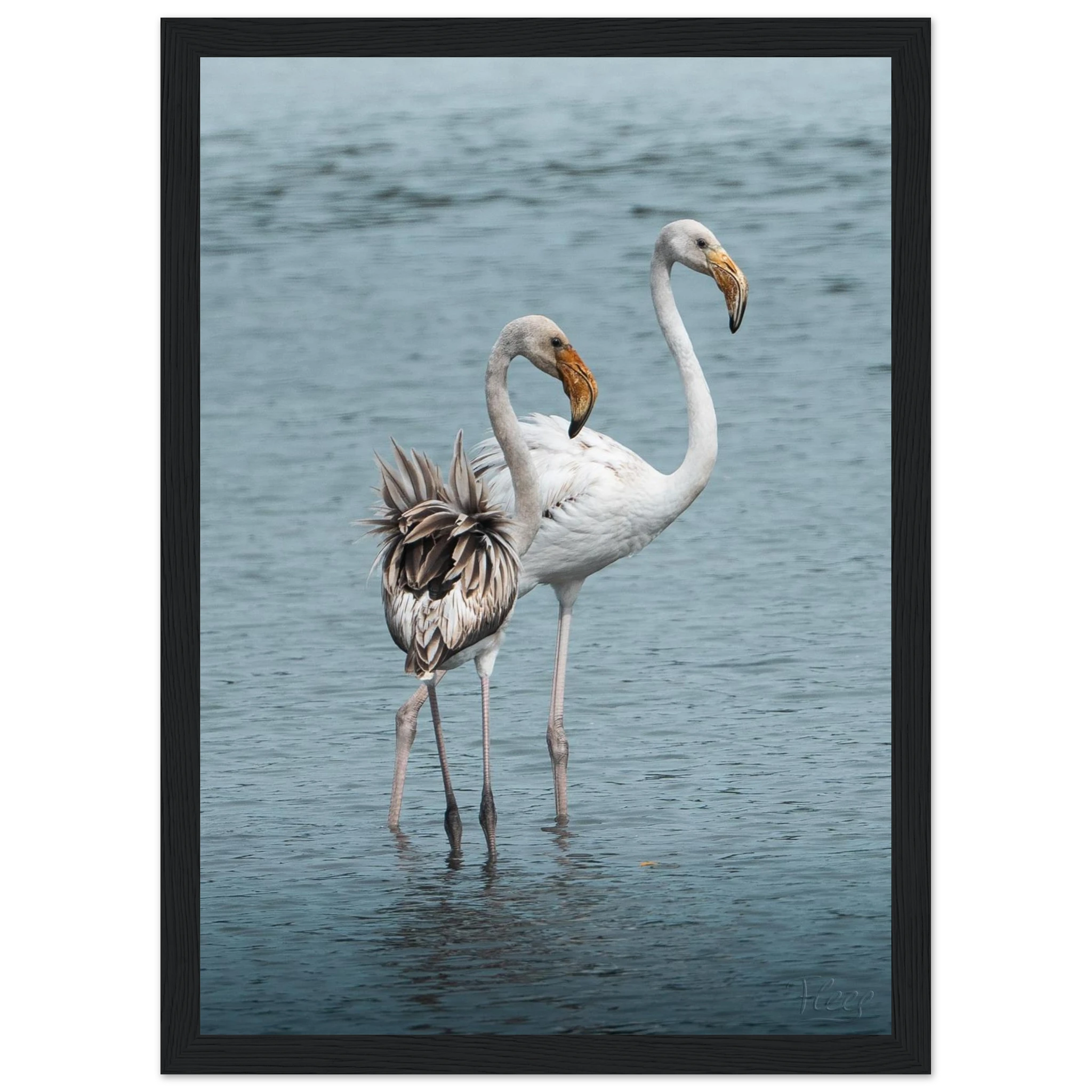 1564beda-06c6-4cd4-90e0-e60dc8cac456