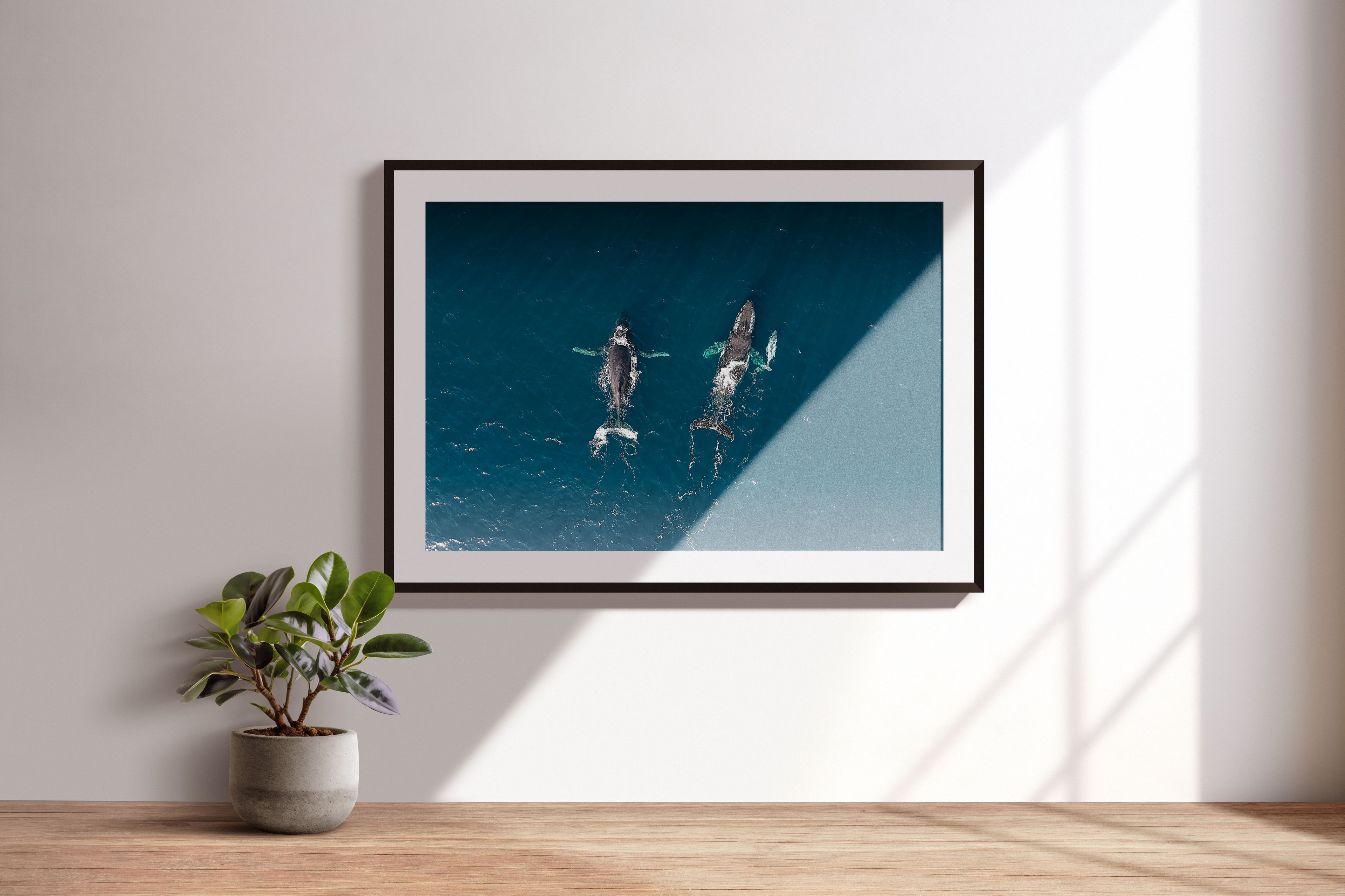 15c196bd-9404-4e12-a58d-1bad9e848939