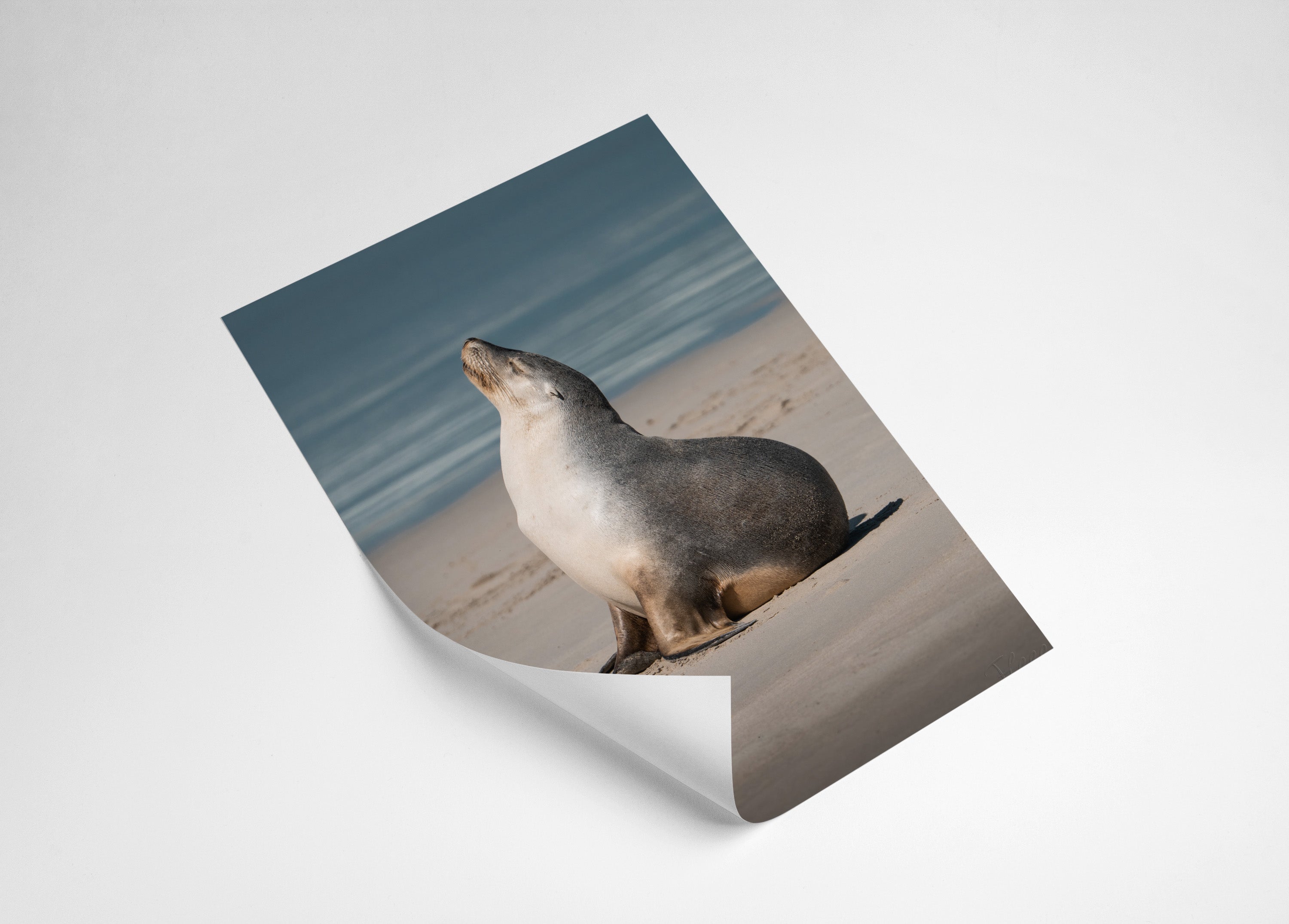 167facbe-2be3-4bd0-bb7e-ab7866fe126d