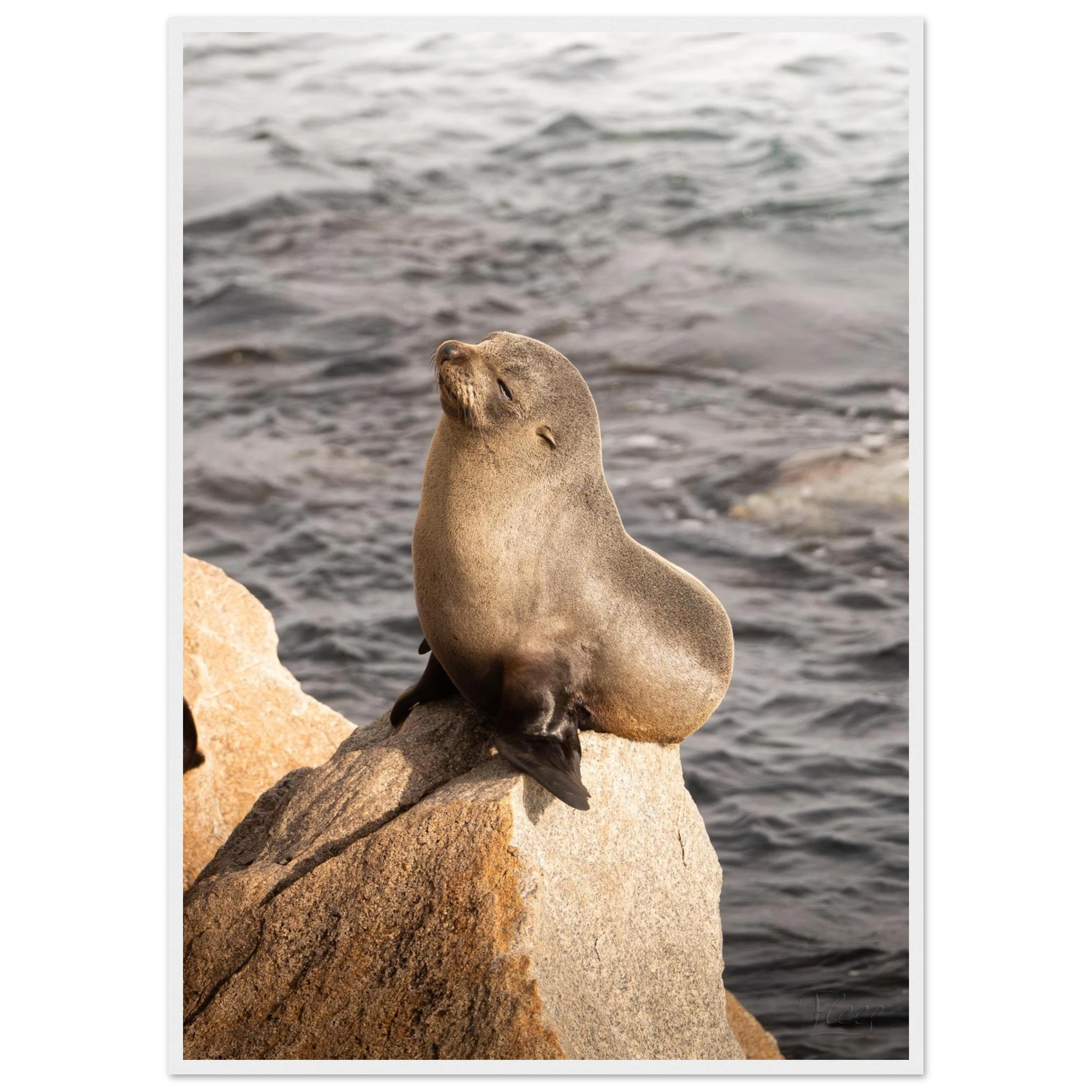 16fe660b-b7a5-4d05-9a4f-0f36c850b94b