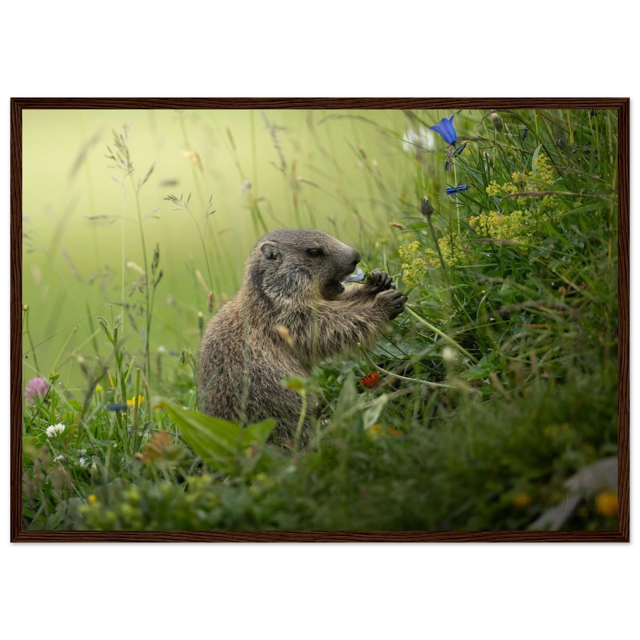 17093f48-4daf-4b86-8968-cbd064926e23