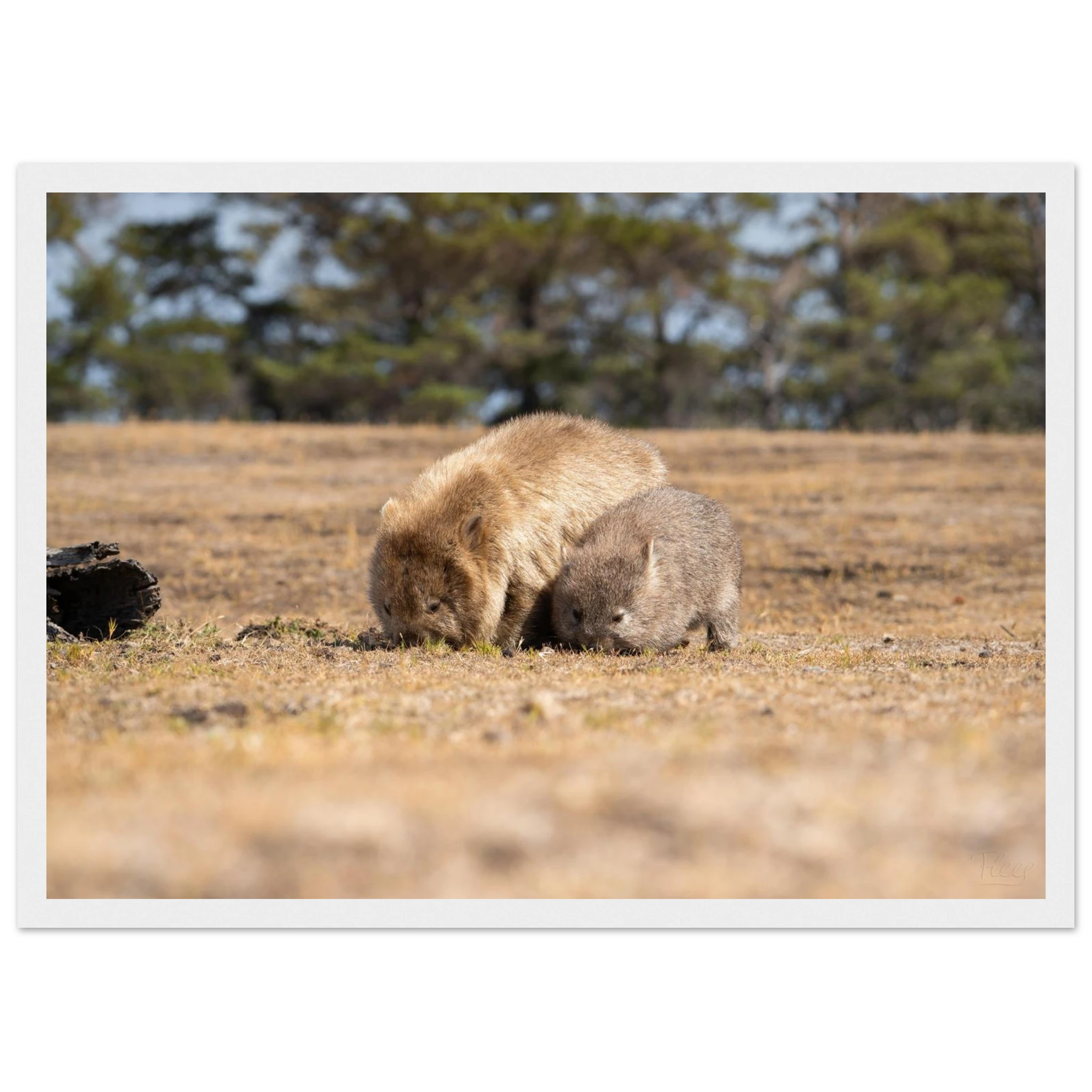 1723af30-ba13-48a8-9bdc-74542601c4ea