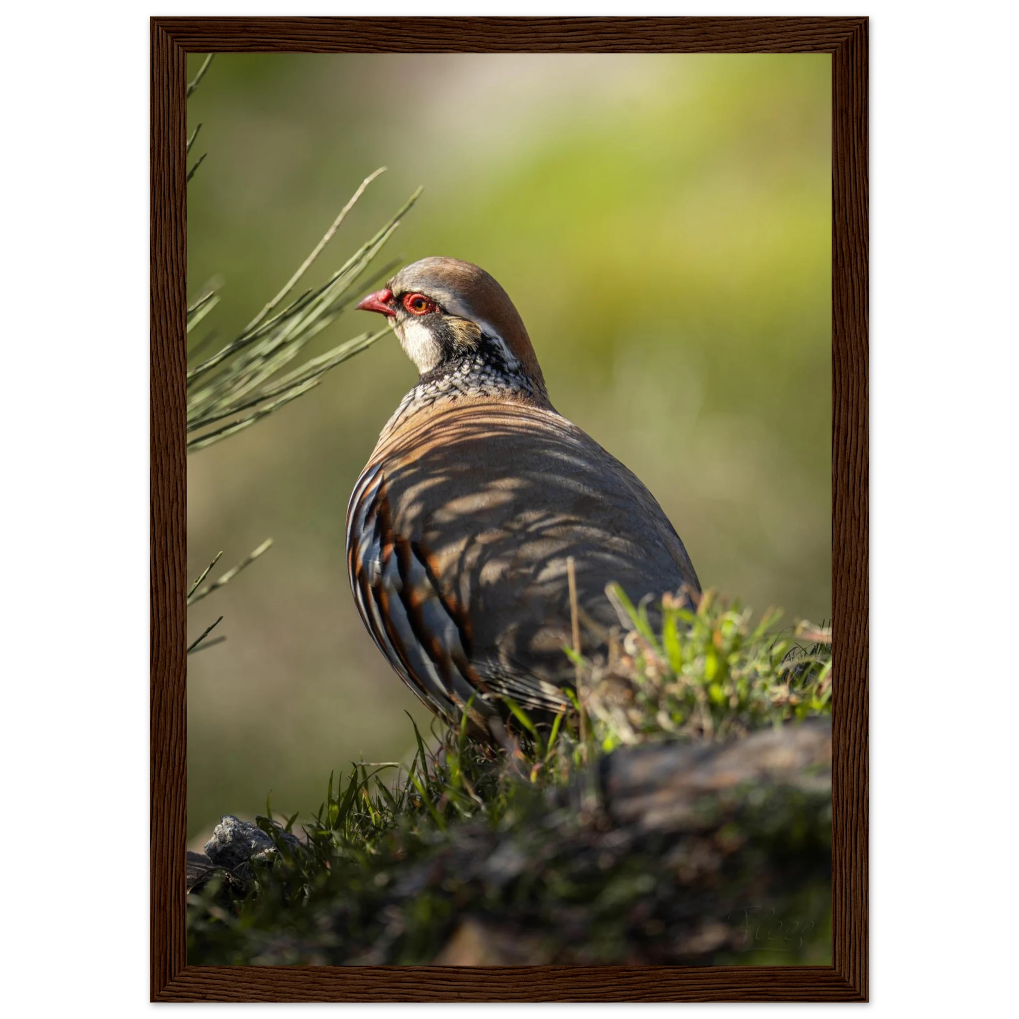 19f5ecde-2087-4dea-91a1-b8c0547988e1