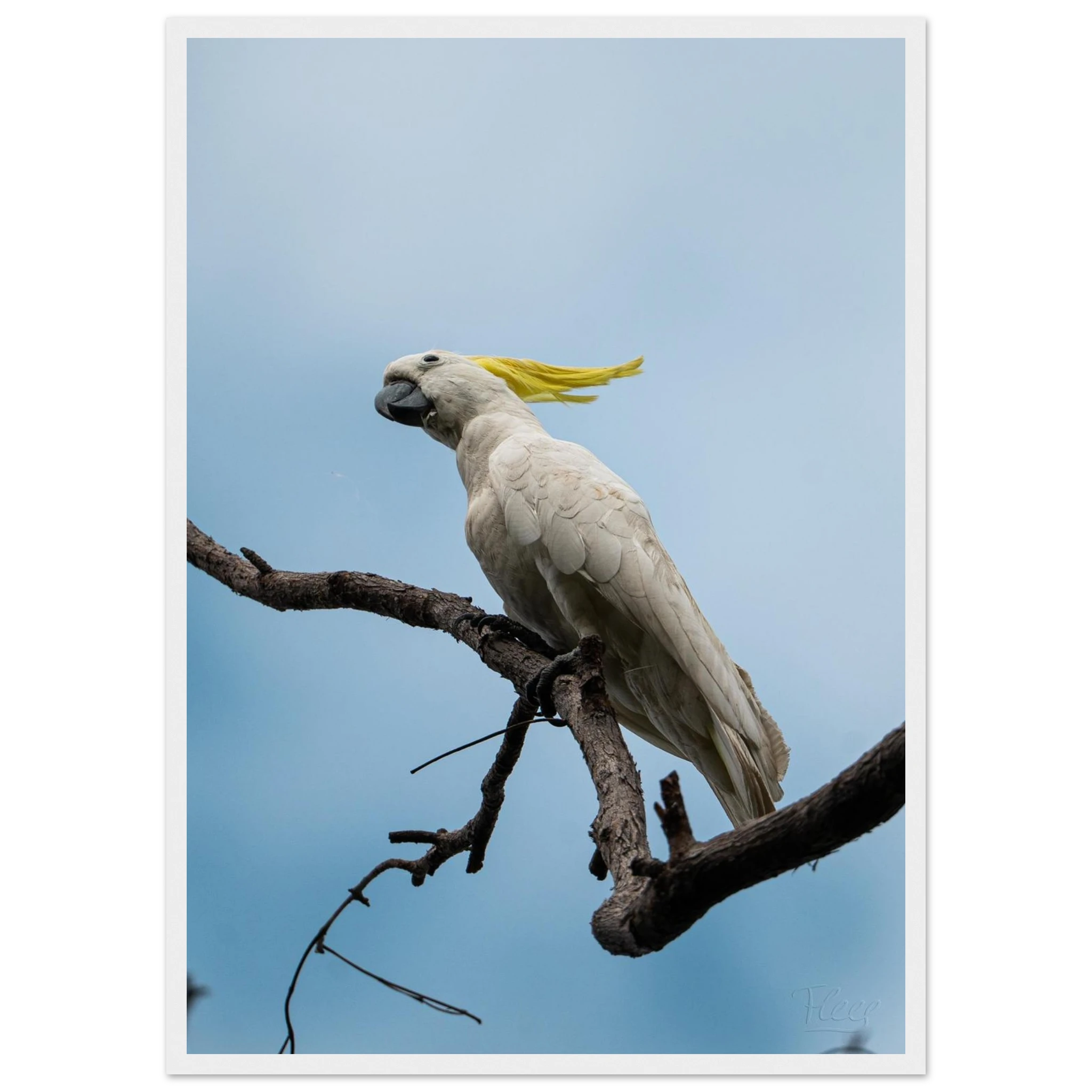 1a1d85b5-52ef-4568-b374-d7a77a7686f2