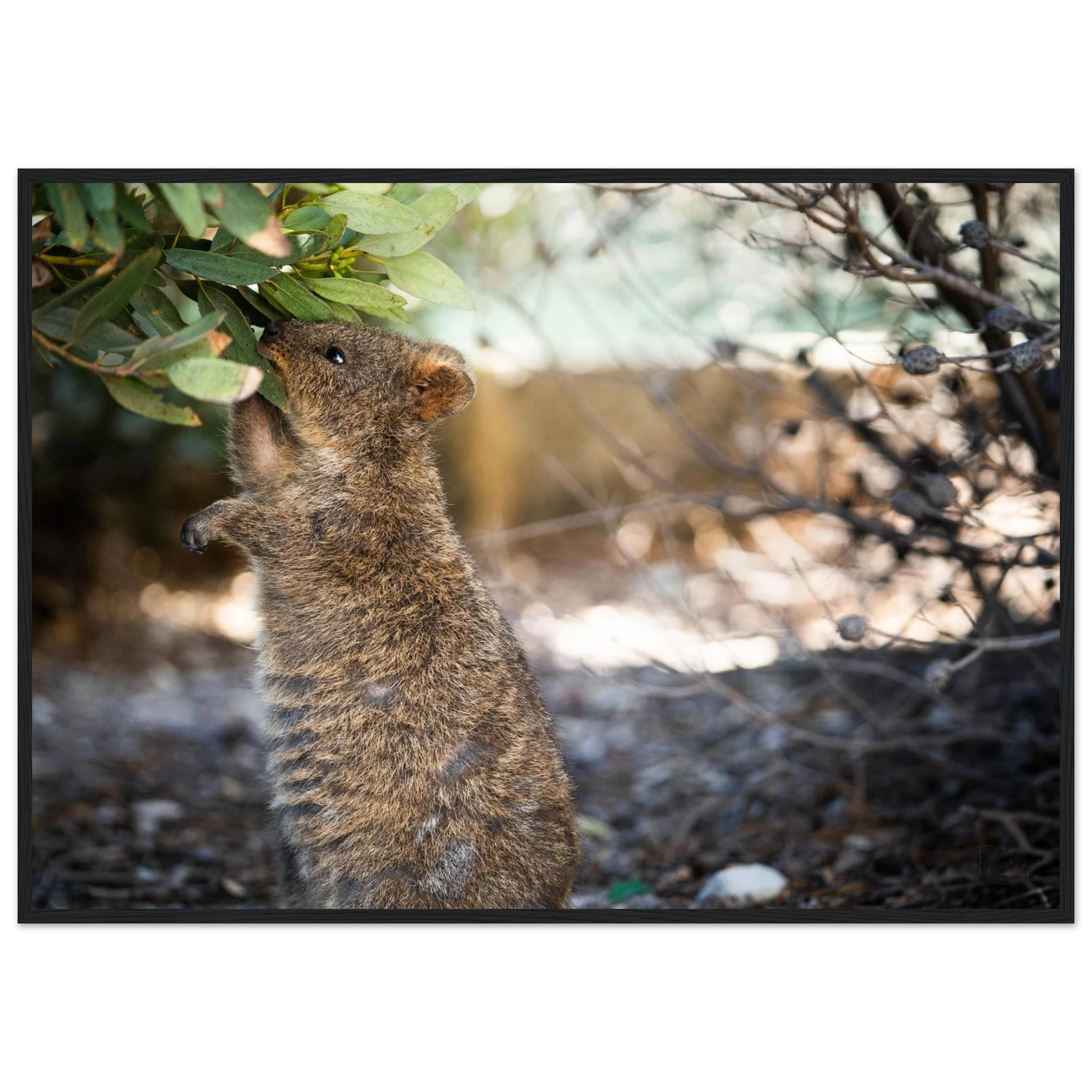 1a24f96e-2ebe-4874-bb67-e0fb2cbabce5