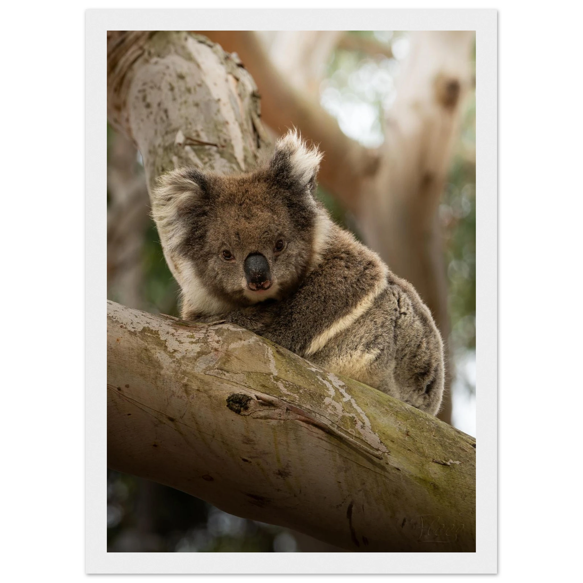 1a4fb532-f15a-4380-98f3-aeeb8eadf368