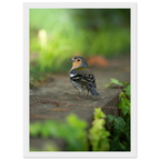 1a659d9b-cc5a-497e-aa06-87f1d3fefaee