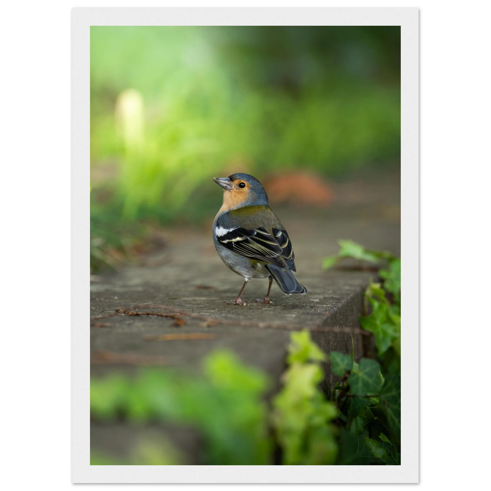 1a659d9b-cc5a-497e-aa06-87f1d3fefaee