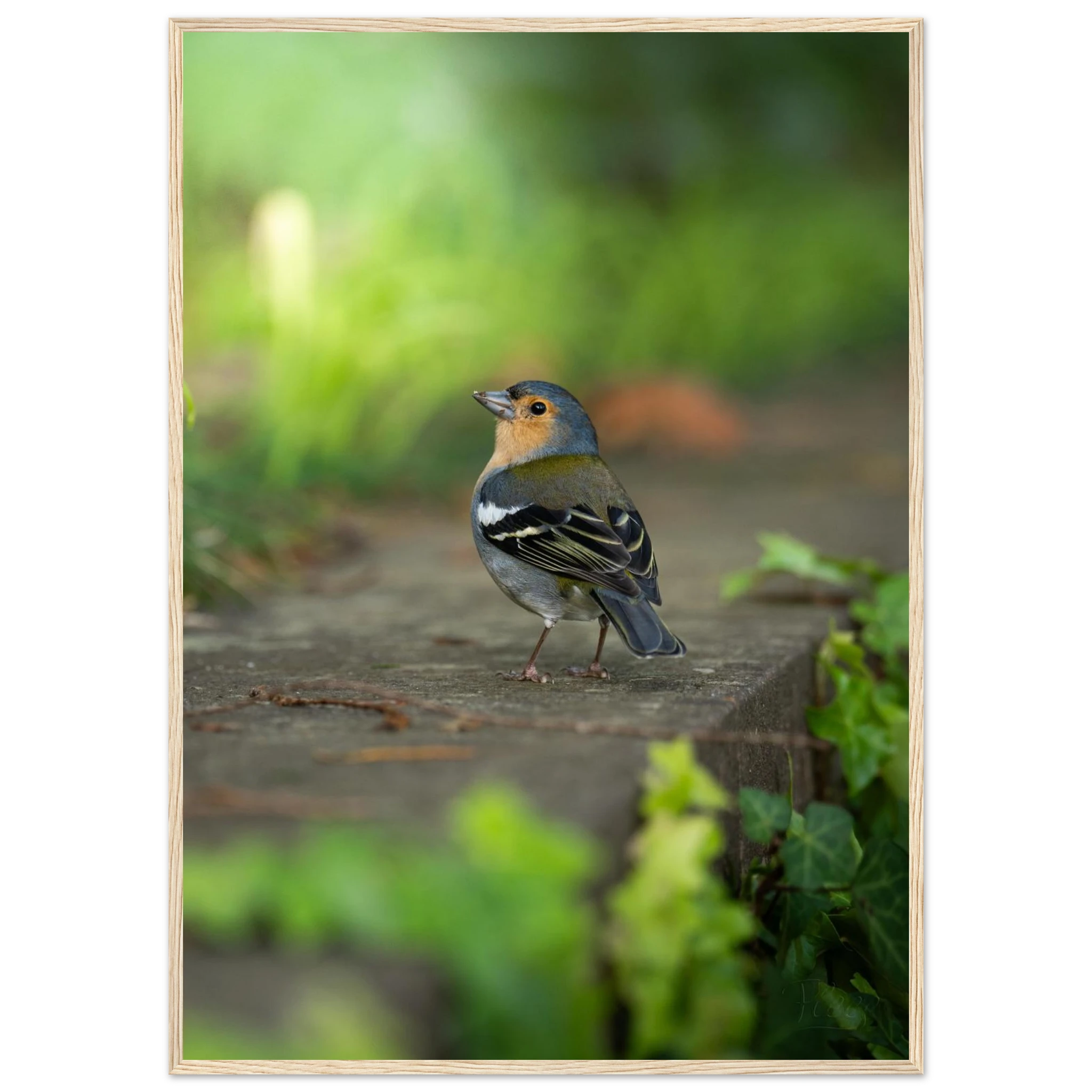 1a80b43c-6bf3-457b-b822-770d05808786