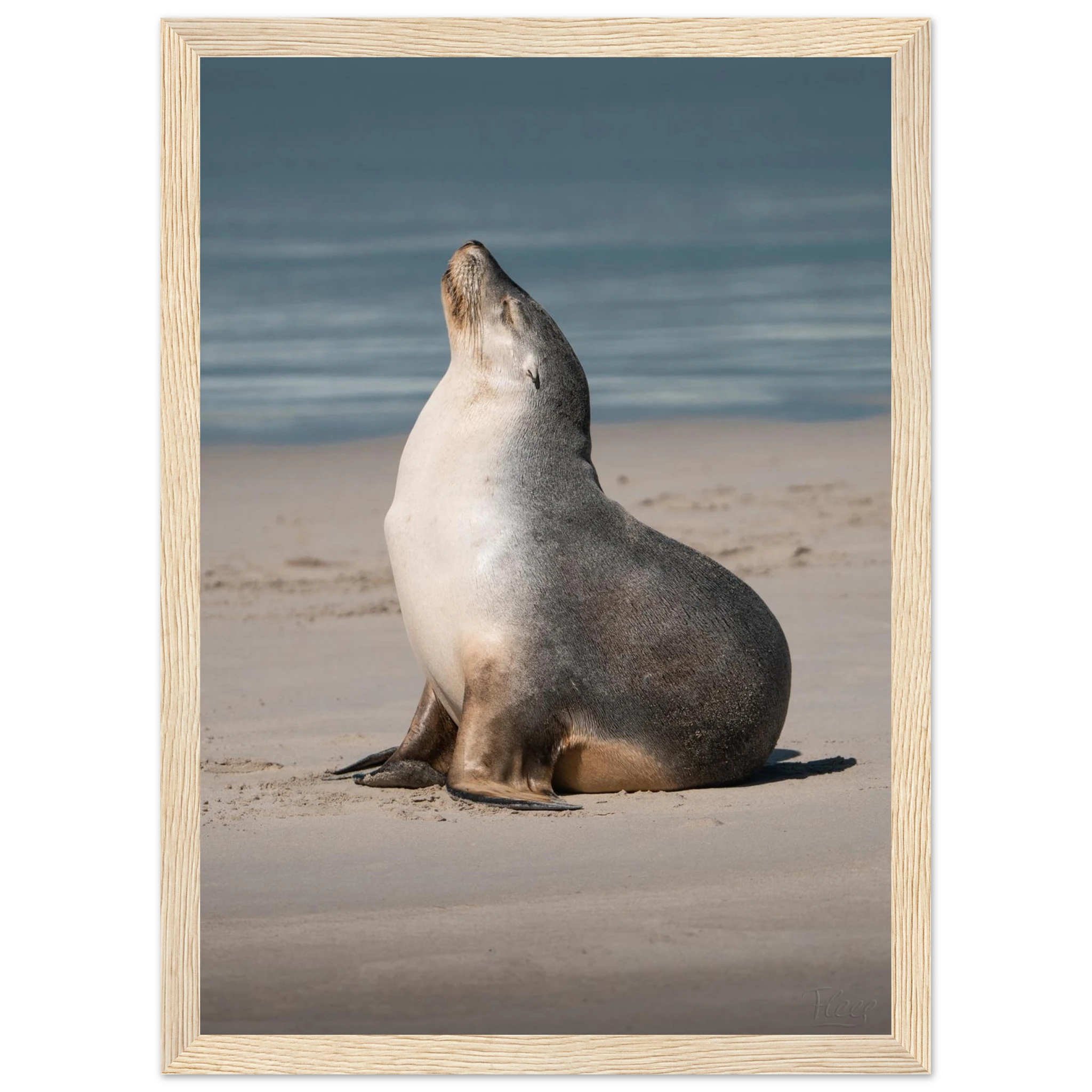 1a822dbd-8f8d-4e35-b6f6-eb2726dd5995