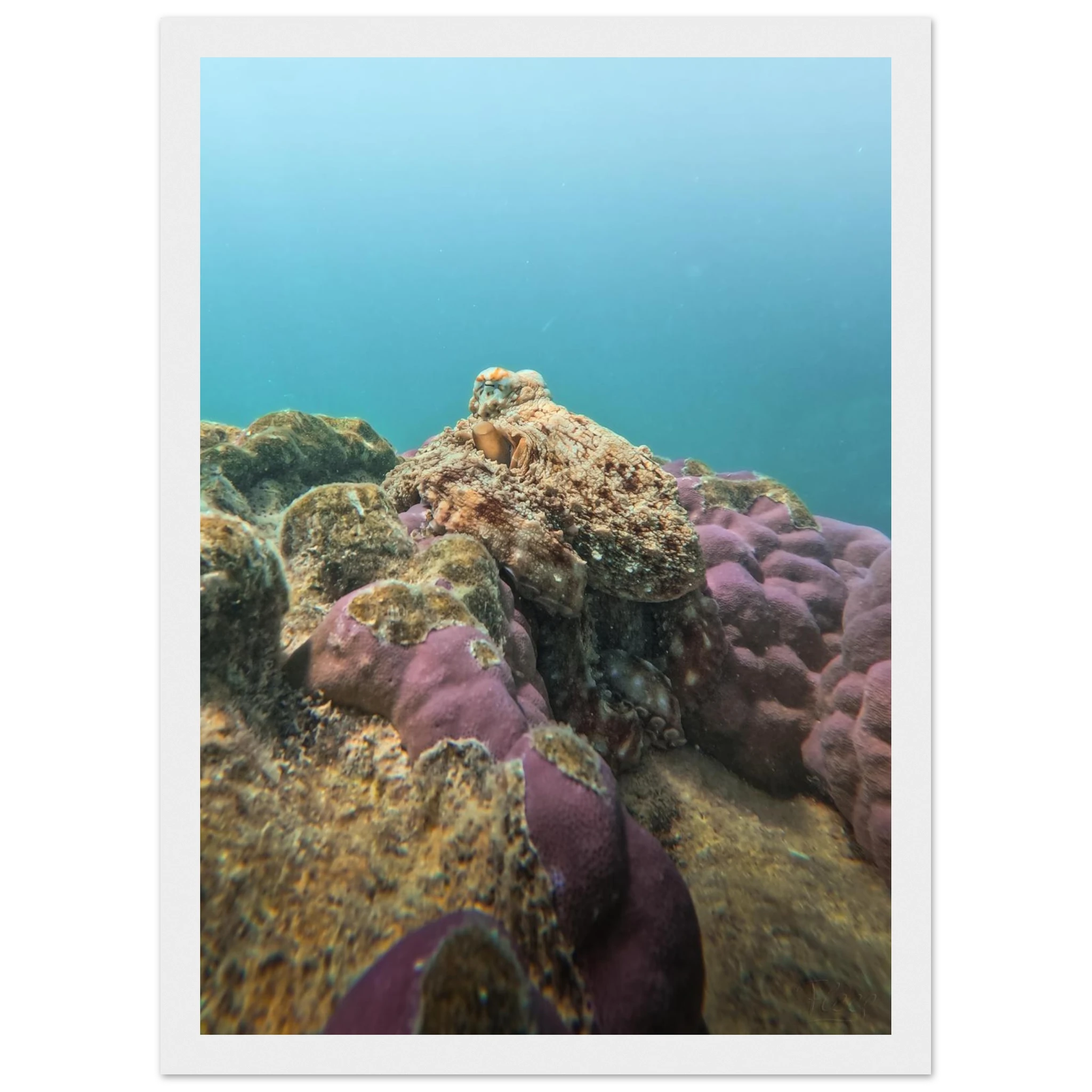 1b33b06b-8144-44d2-8599-876e19a4c7bd