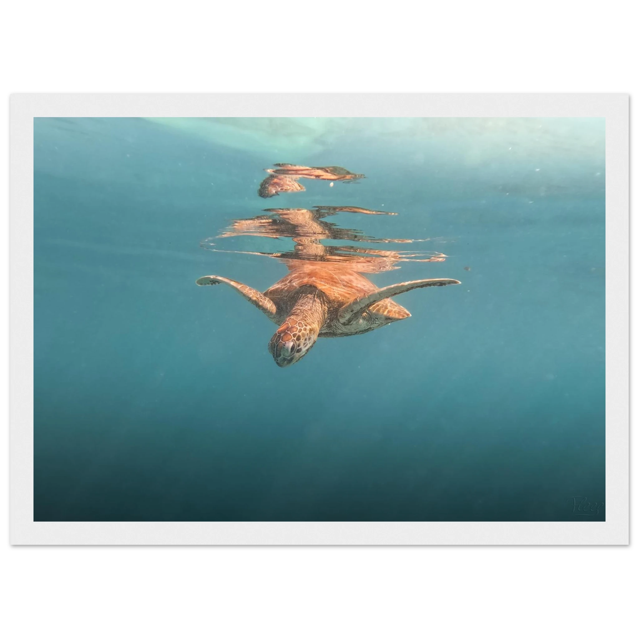 1b82baf9-7d48-424d-bb9d-38d470e2b31e