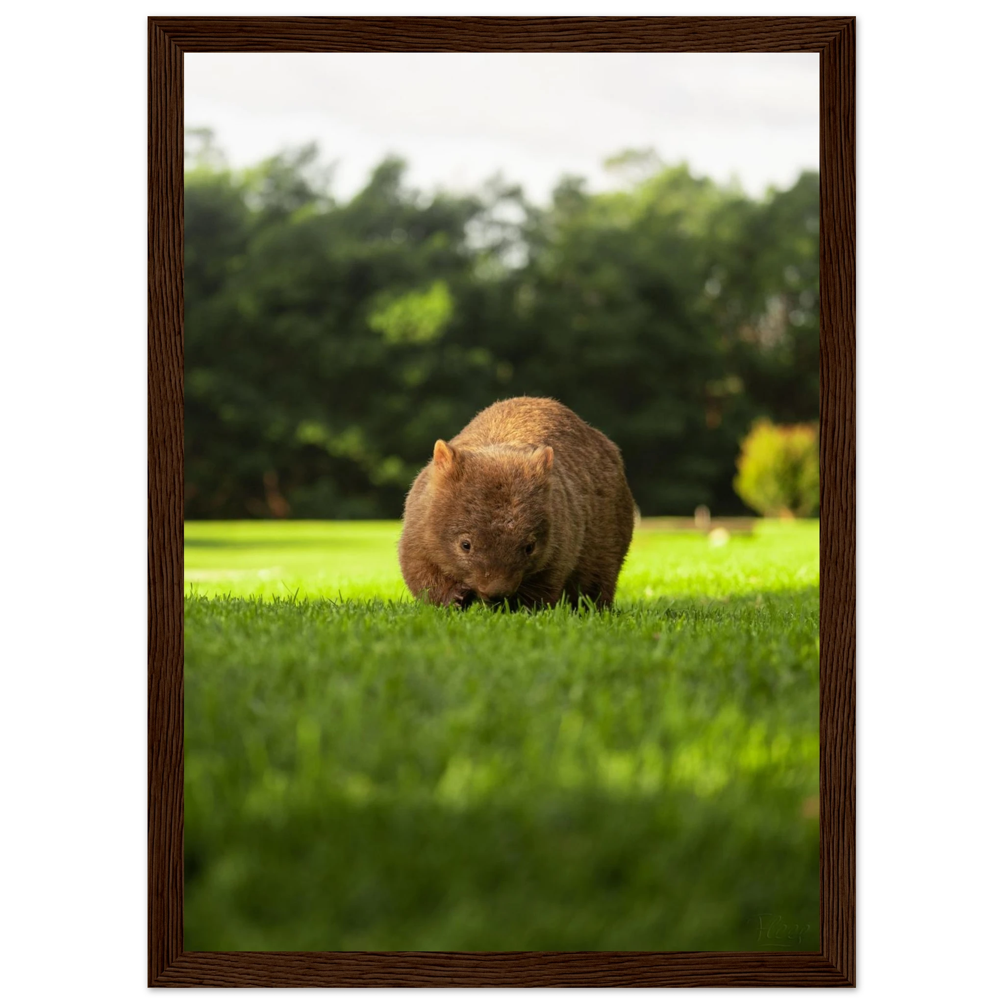 1b86f1eb-0be9-4609-ba39-ac06497a7848