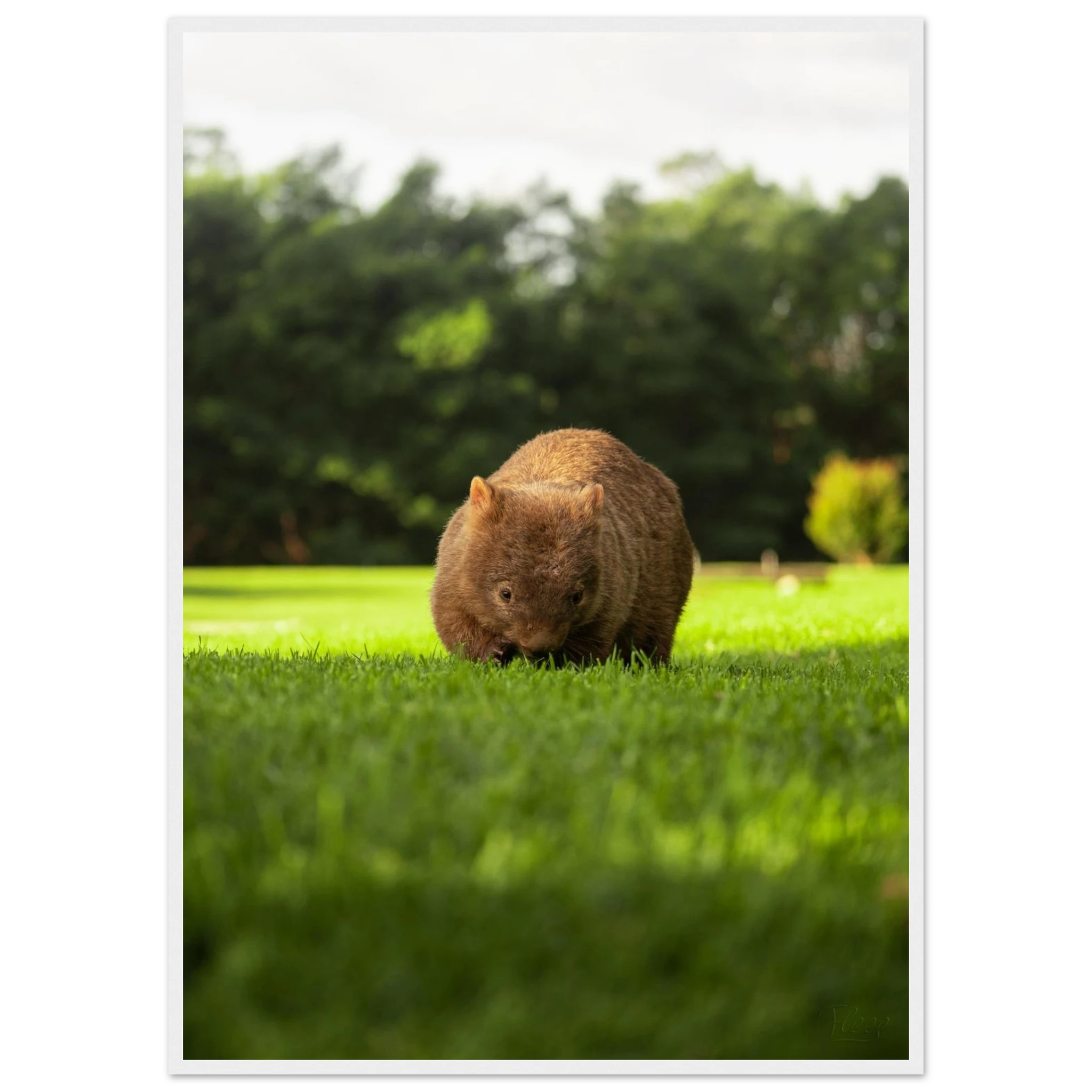 1c0314a1-feb7-4d8b-99b1-5c50a38c4fa1