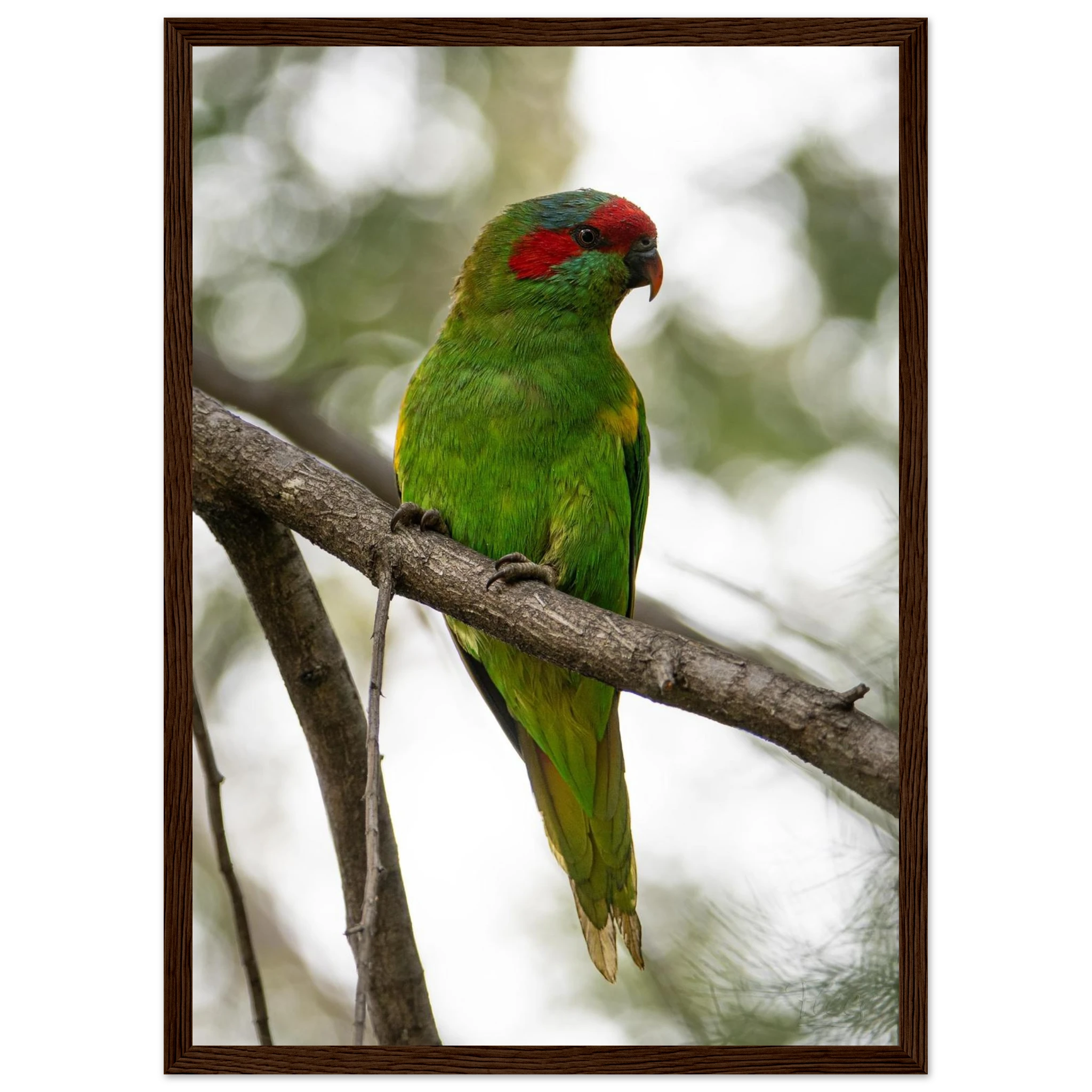 1c63be1d-1c55-44d4-aaed-7439e2009925