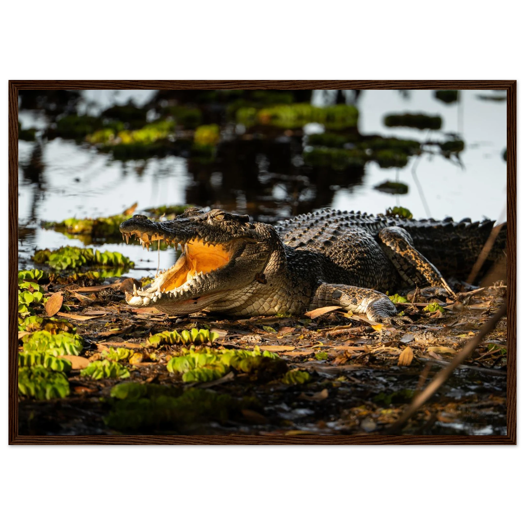 1c672e24-1a85-4dfb-aa28-3c0b4aa64532