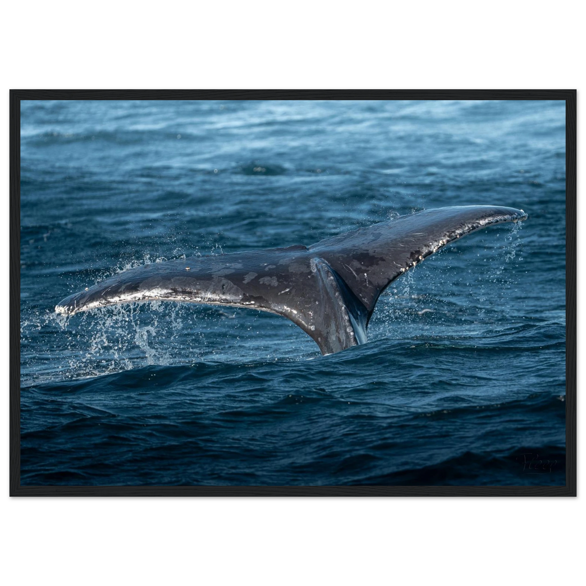 1ca32cb3-aa65-4411-845c-564b26462f0e