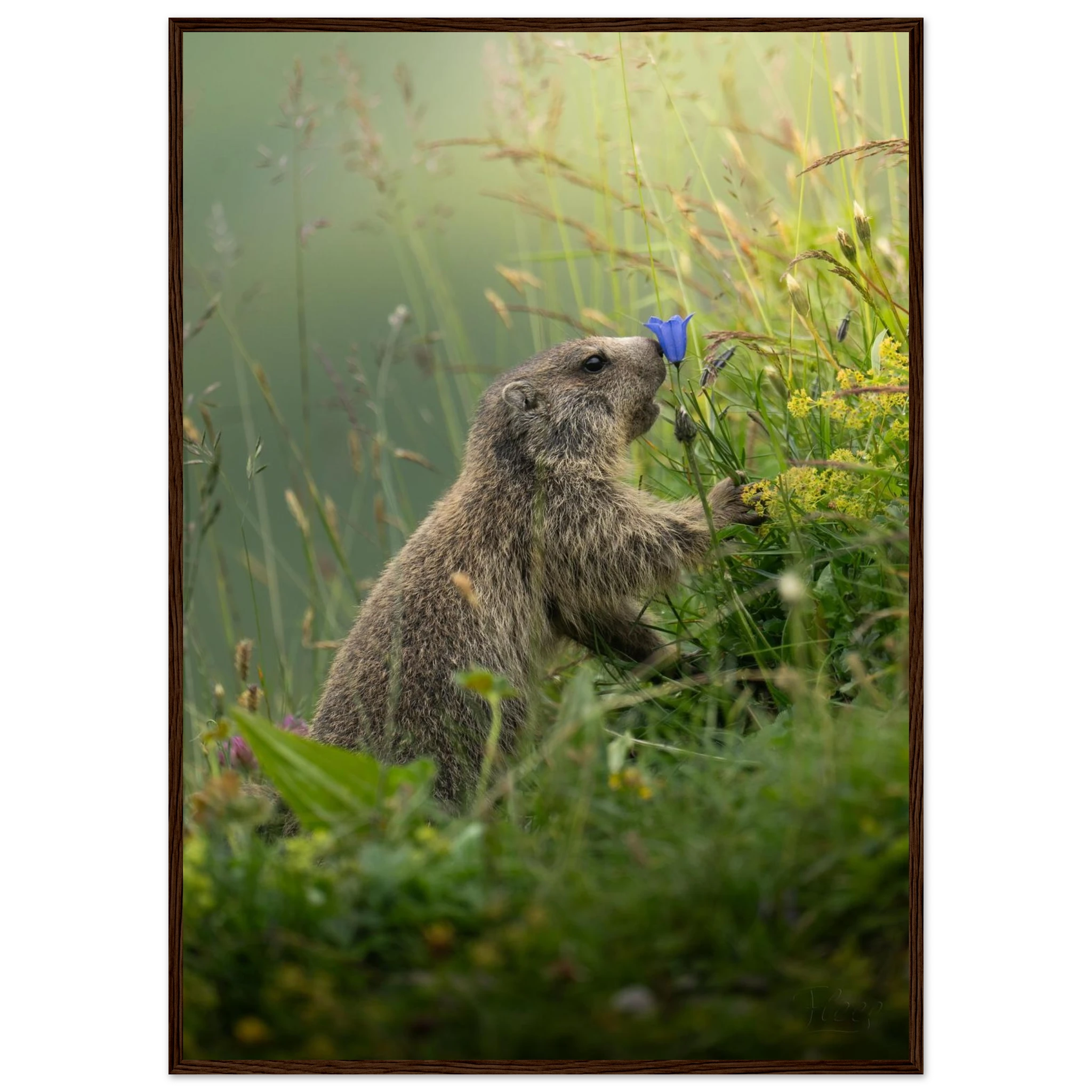 1d59a8fc-b082-4ef7-b37a-e66918b39360