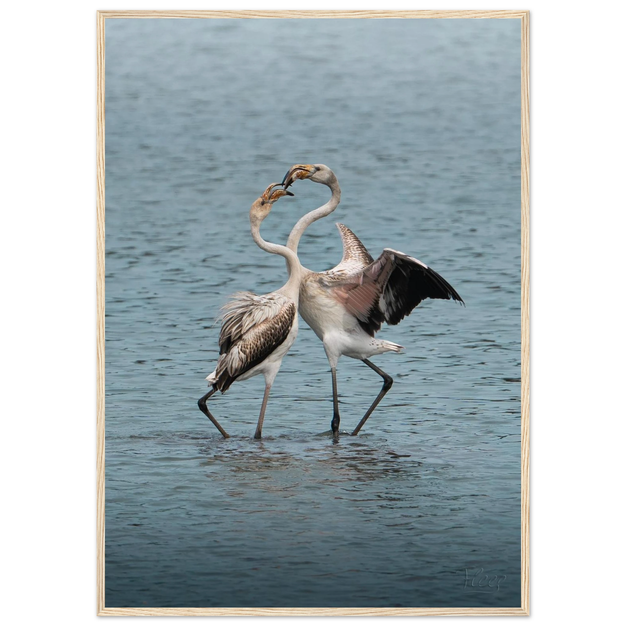 1d6217c2-2be0-47b0-a0d2-d3b67d1c227a