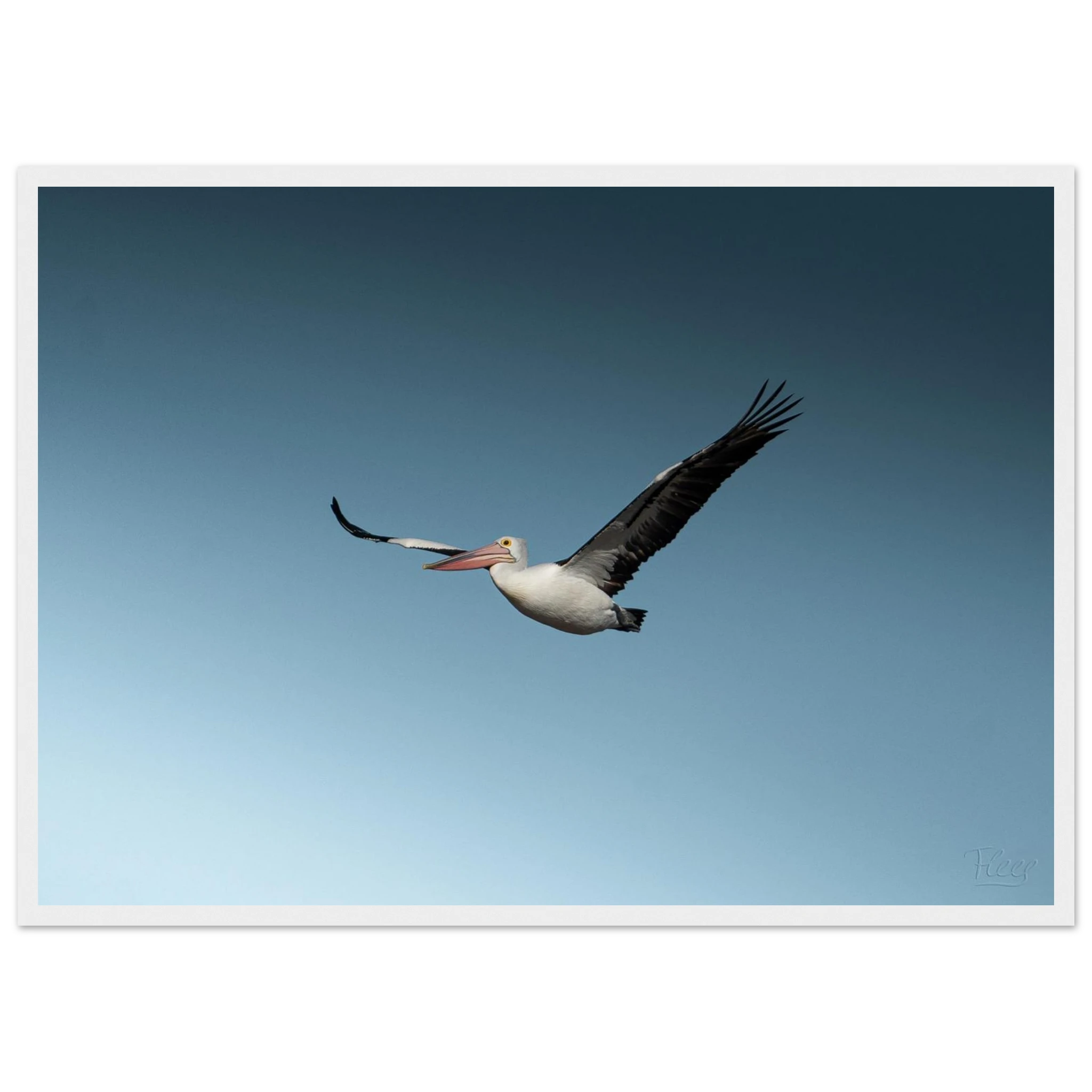 1e422a45-2840-419b-81da-8e9a74291b01