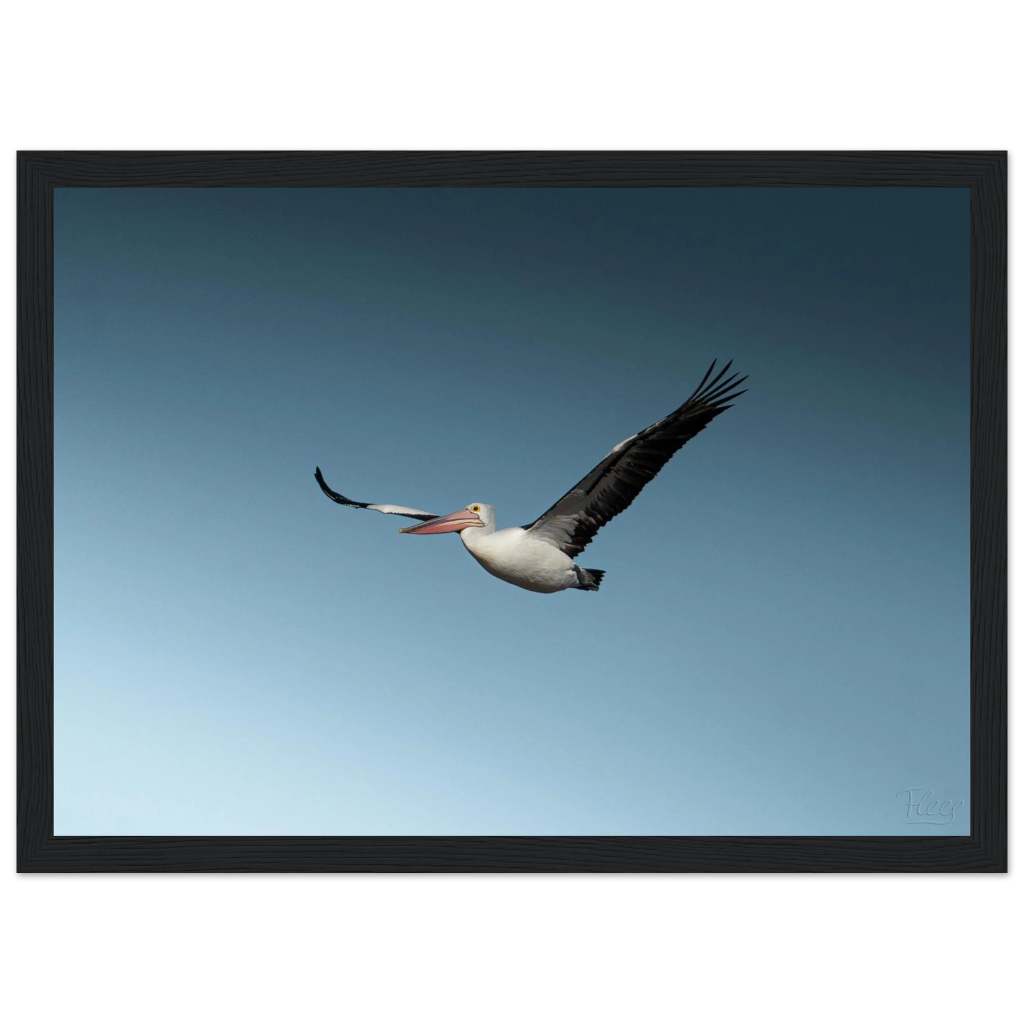 1eb85cb3-b84f-4e3b-9682-41c76152c77e