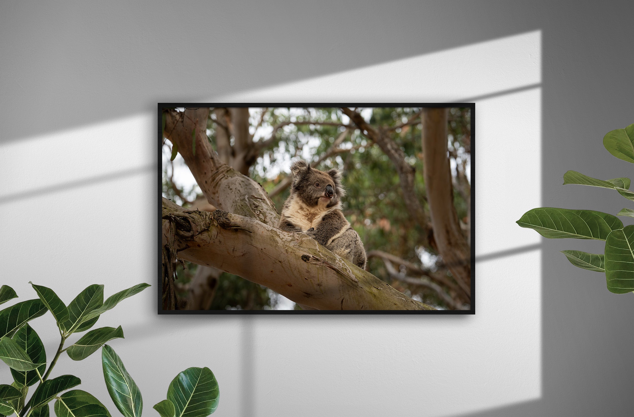 1ef61478-e293-4c07-bd1f-c8a2b6c9d9fd