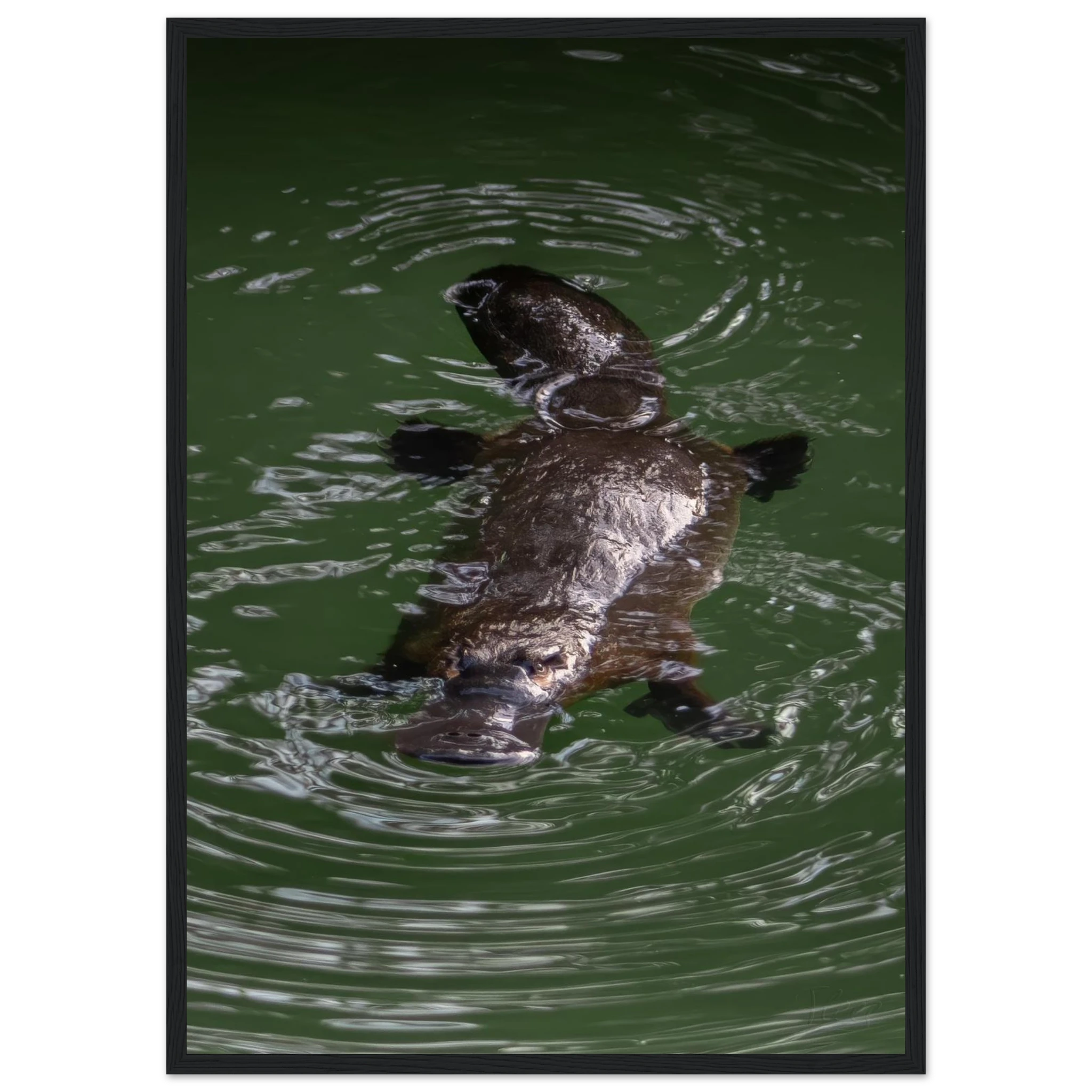 1f00df50-fafa-4cf6-b2cd-b83e0ec31c12