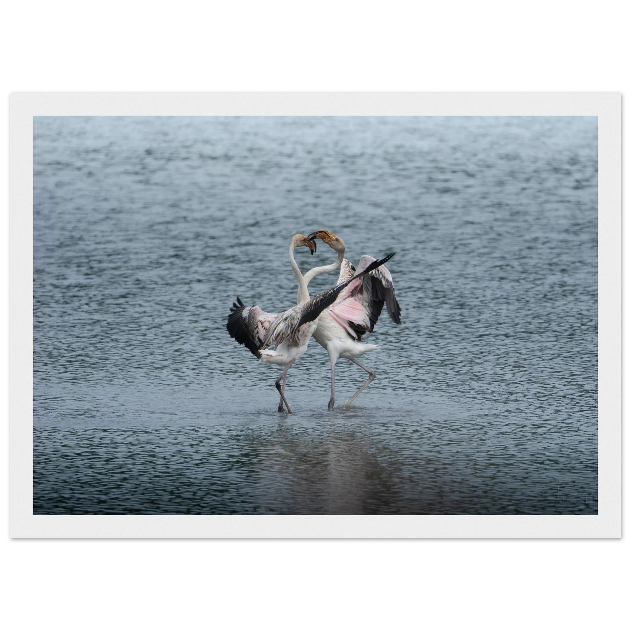 1f2c8acc-3bfd-4b7a-ae2c-a7f115206e8e