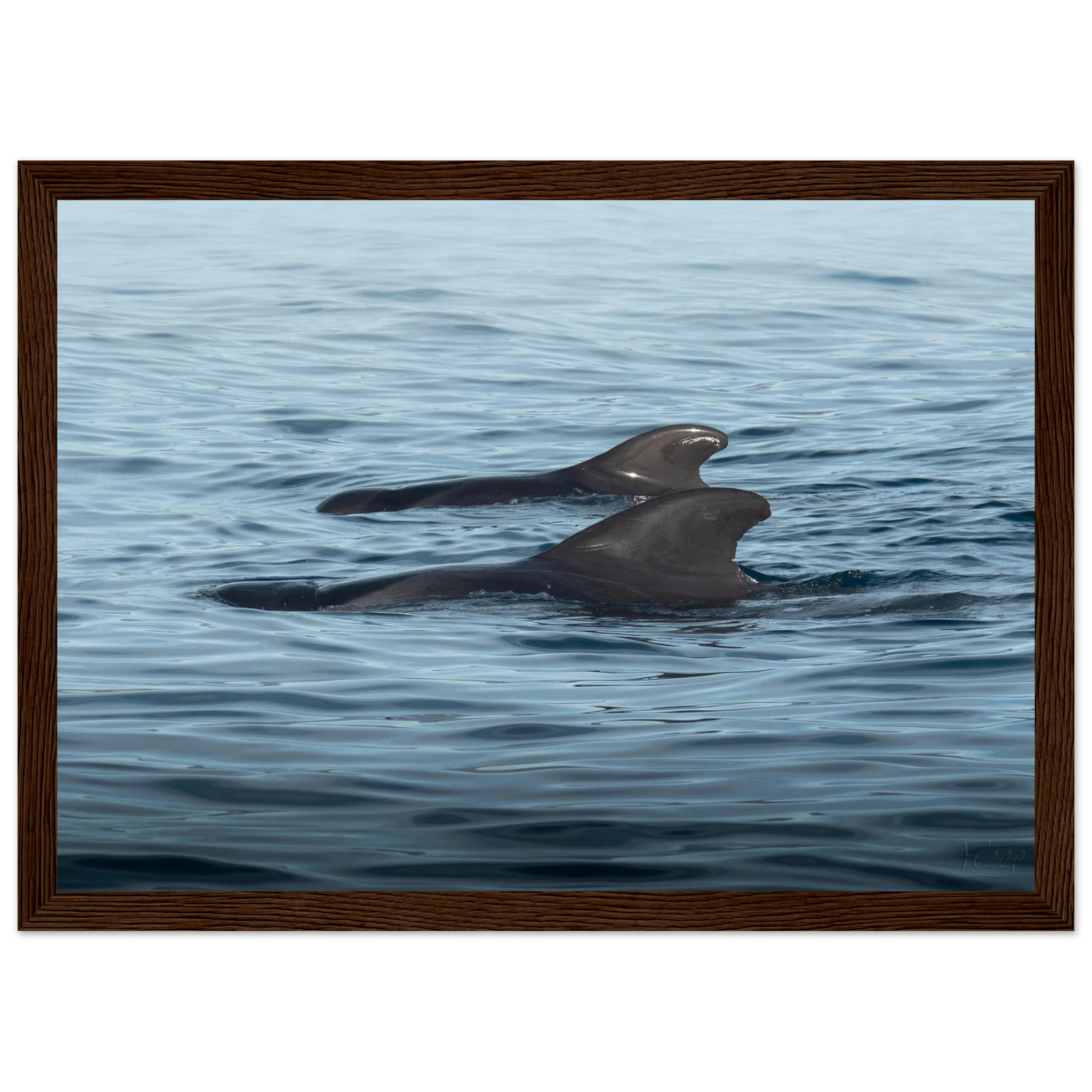 1f5bace5-b922-4f12-ba00-fda589838455