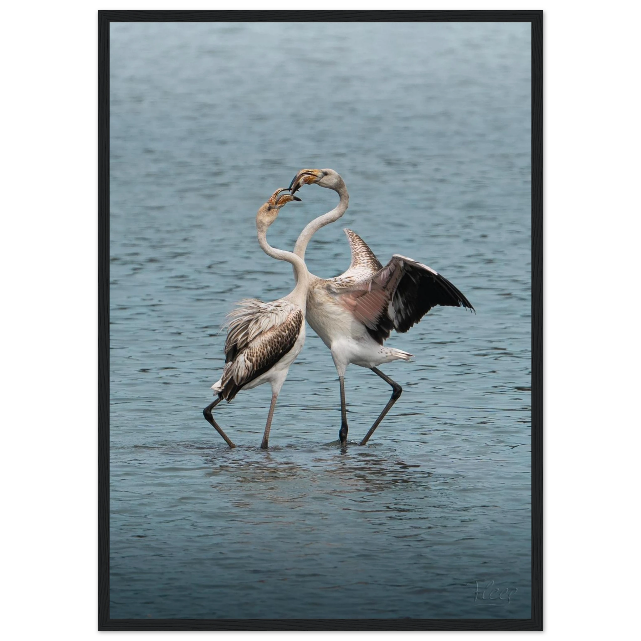 1f6d6be5-0cf9-4d29-8c83-57548e9e8494