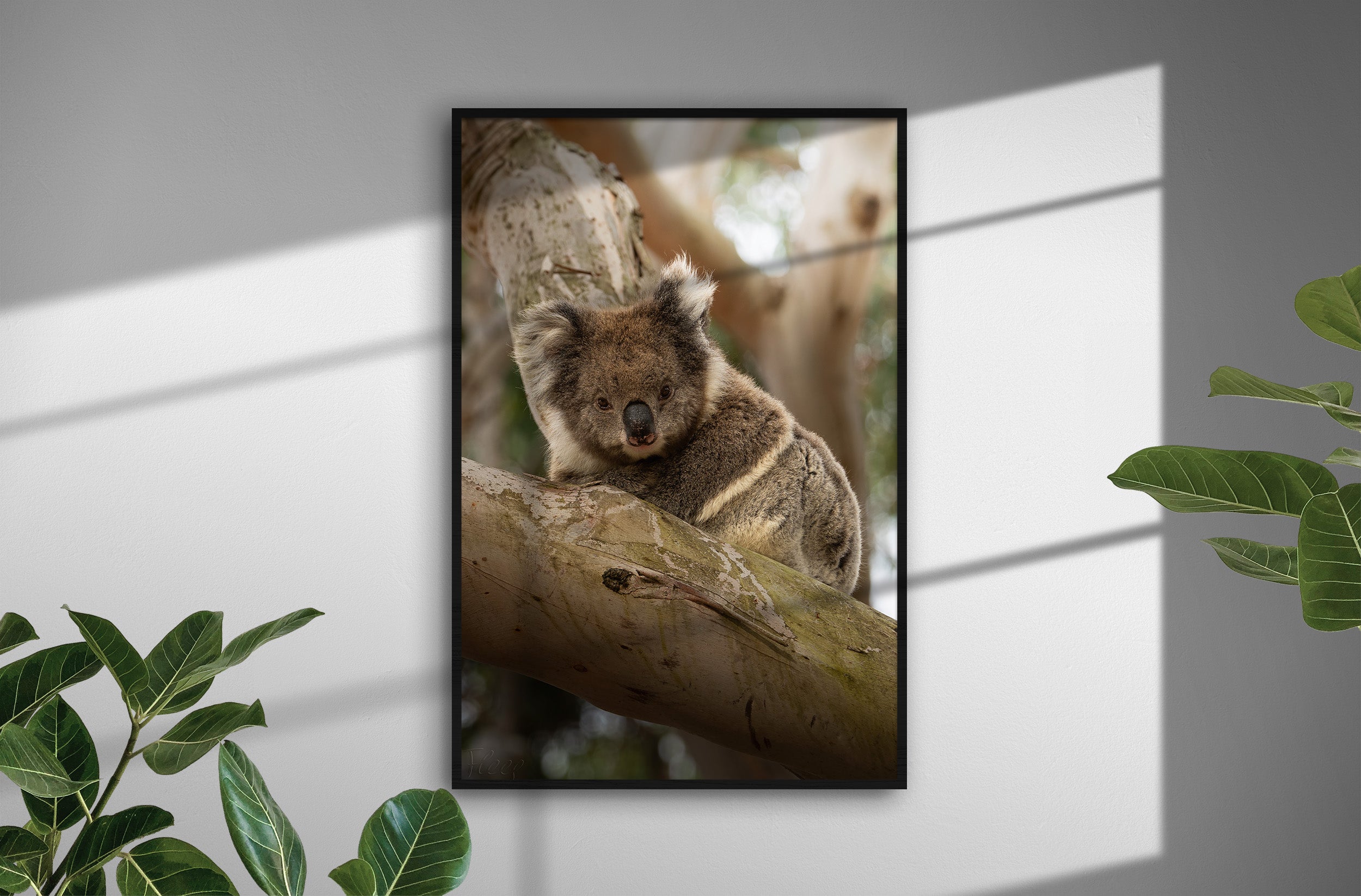 1fb95327-e2f3-47e8-8602-44ec7ba59f0e