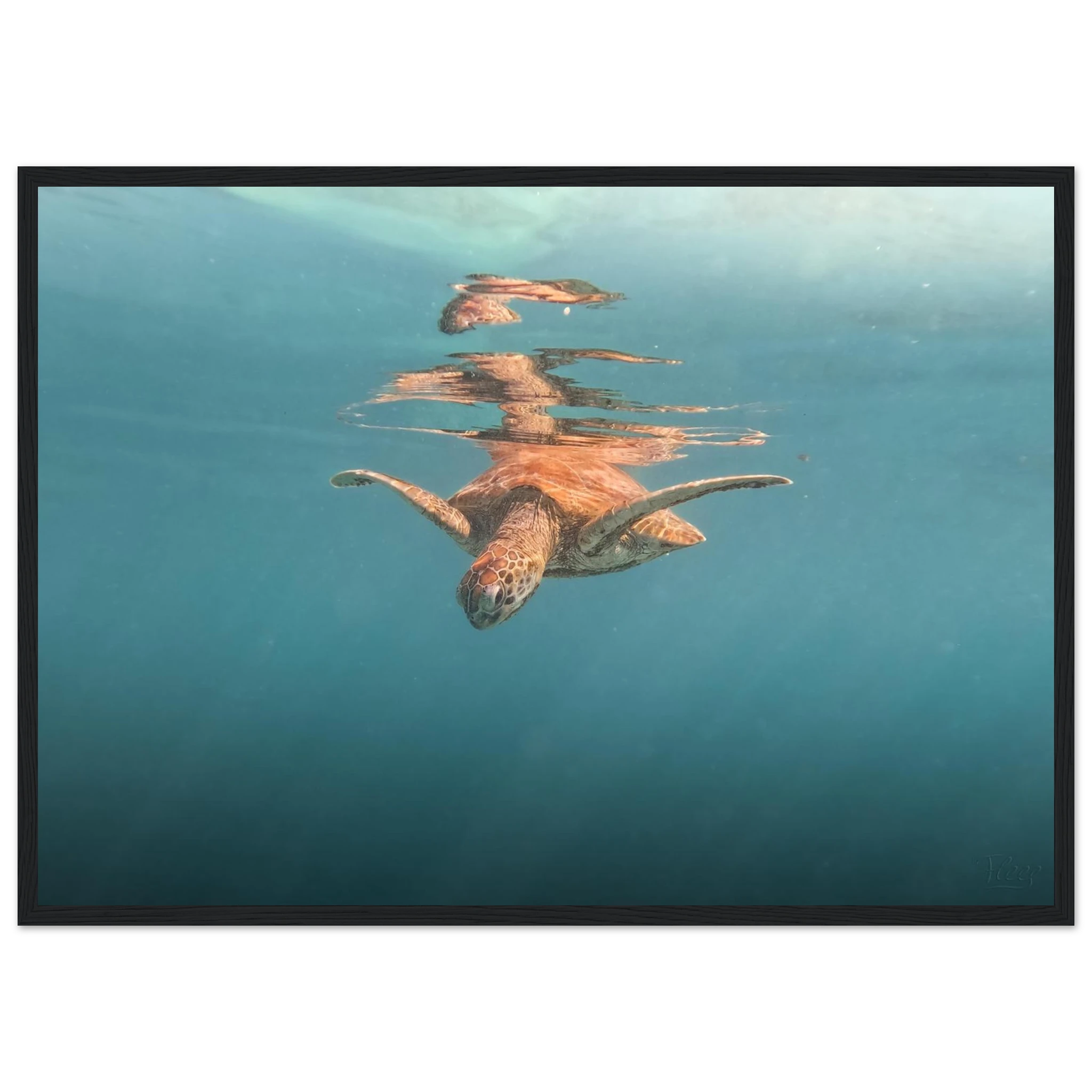 2061baea-75a1-4ac9-8dc9-2cbb4de77dcf