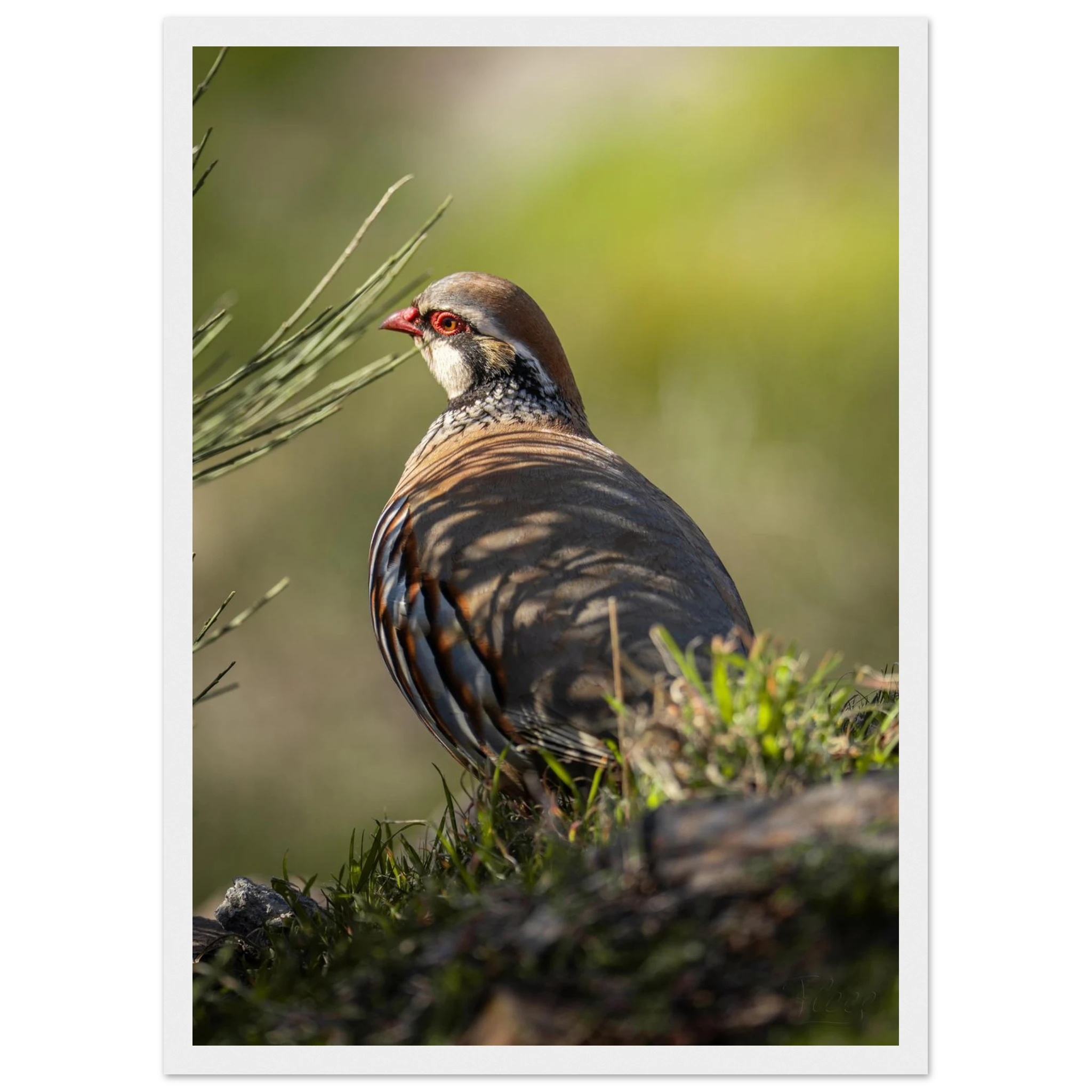 20c2150d-0100-4c5e-9769-8a0a499f3730