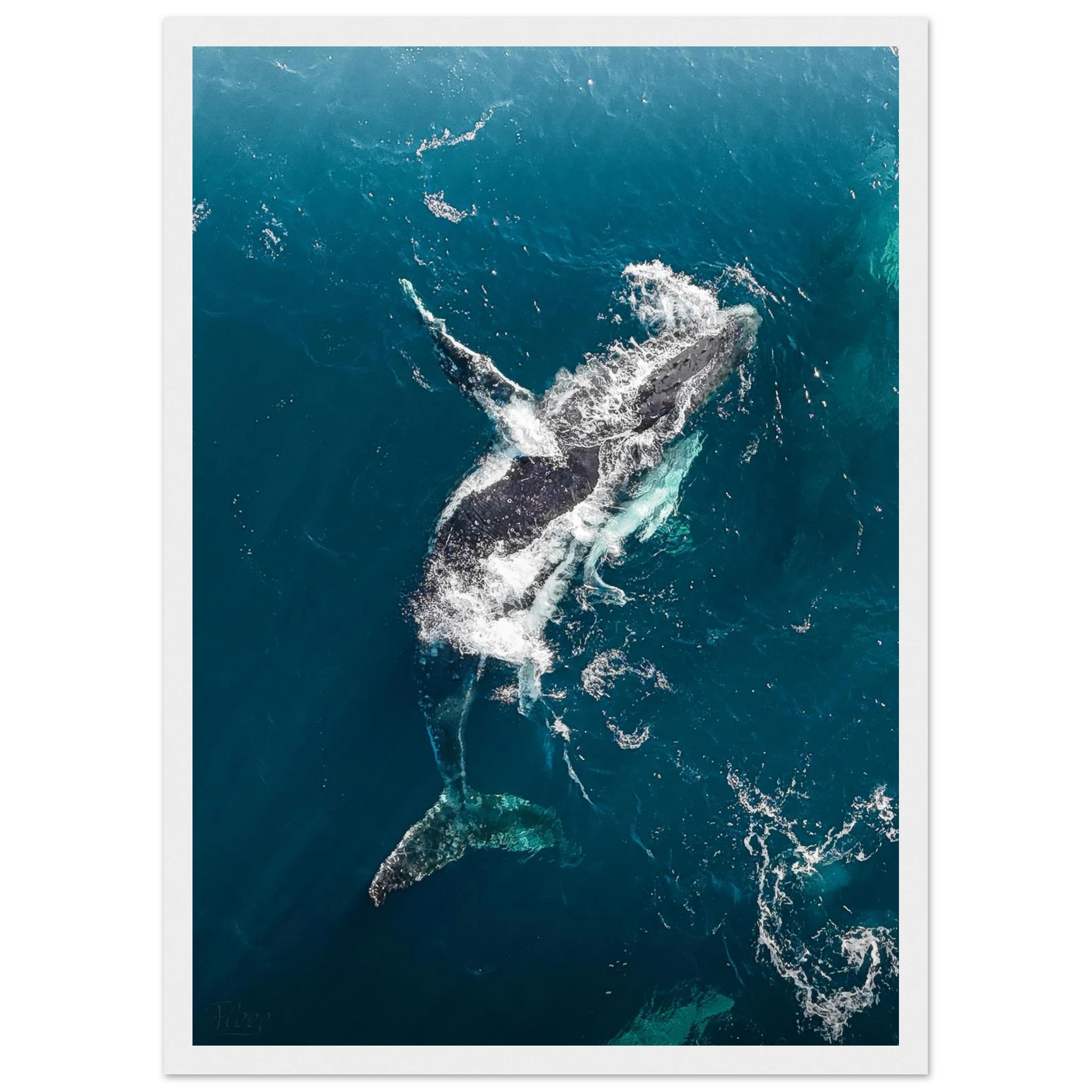 20c478da-9ea1-43a3-ba5a-7f060b86a5fb