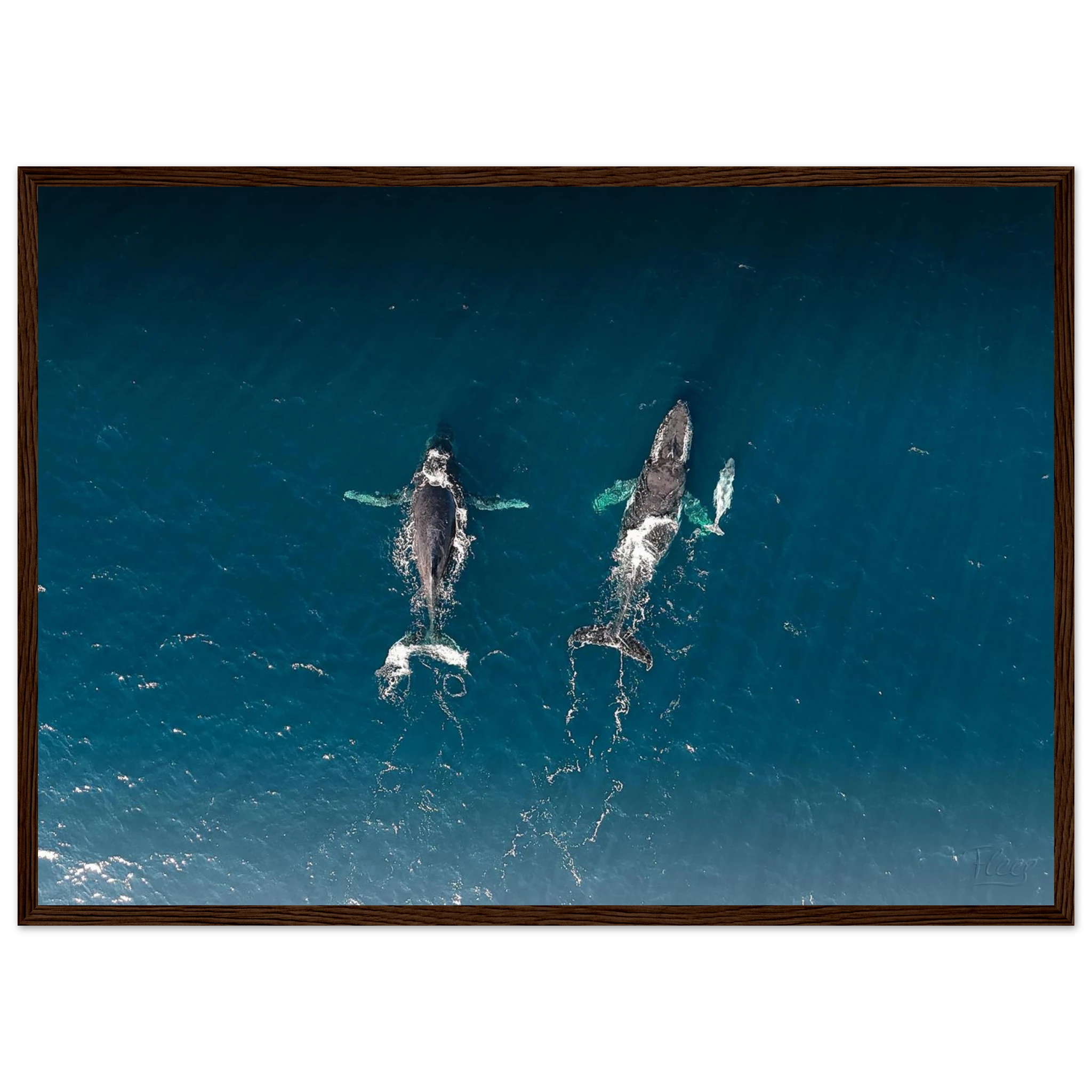 214a6a4e-cca2-4d8e-a61e-9a9e0b25521c