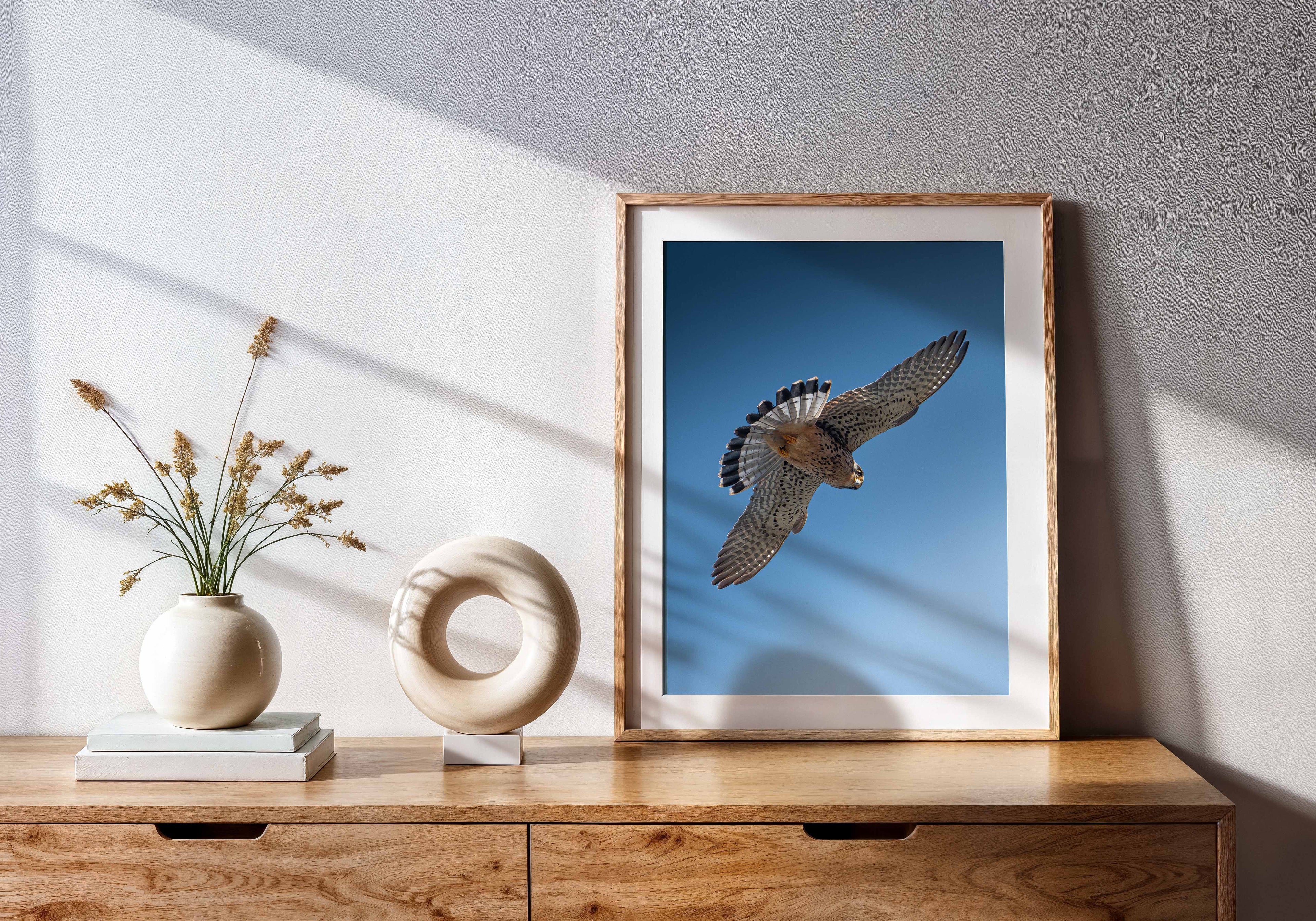 21dd4300-bd32-4035-b0ab-2c5d093500bf