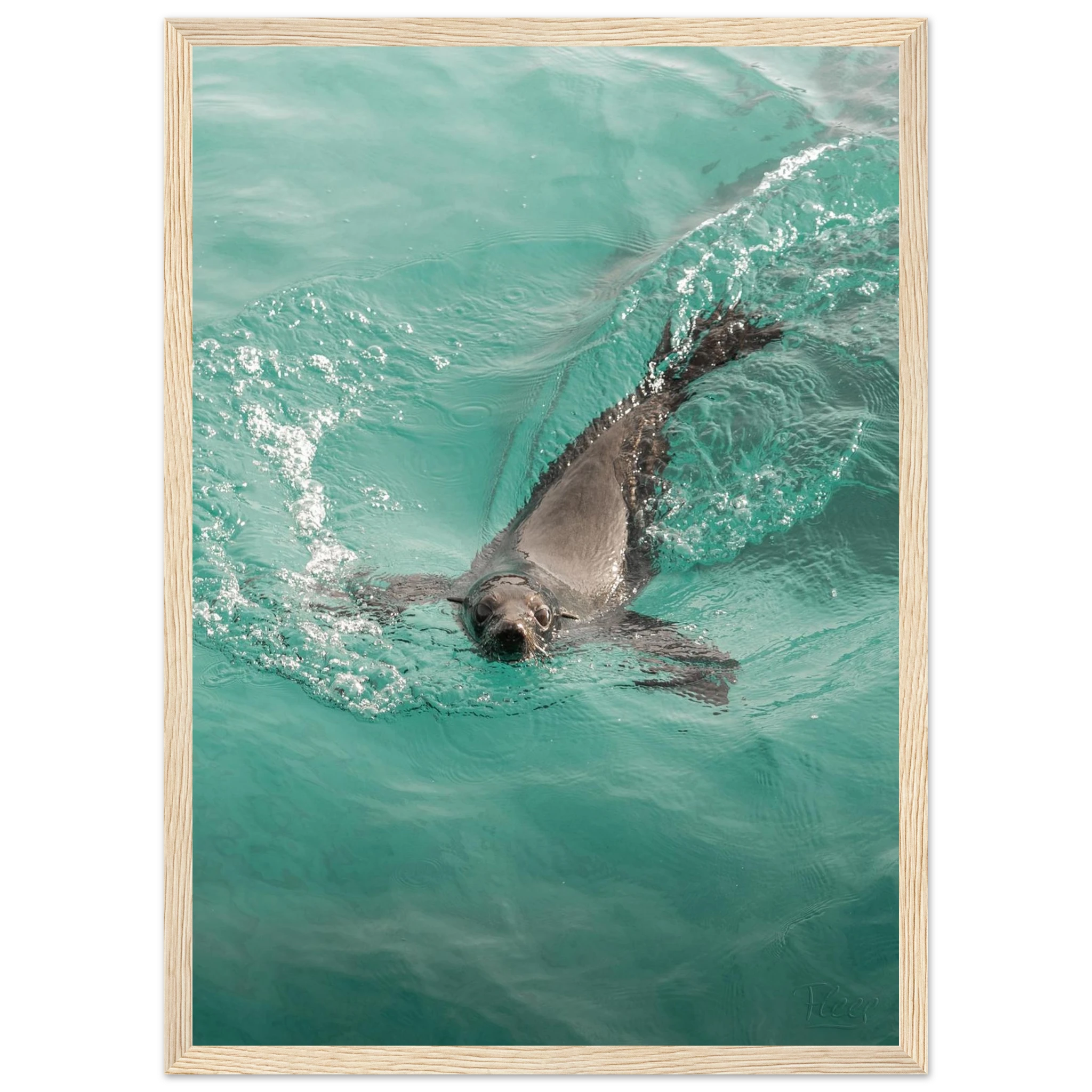 224a5fc1-271d-4f92-bed7-67e76046b3a1