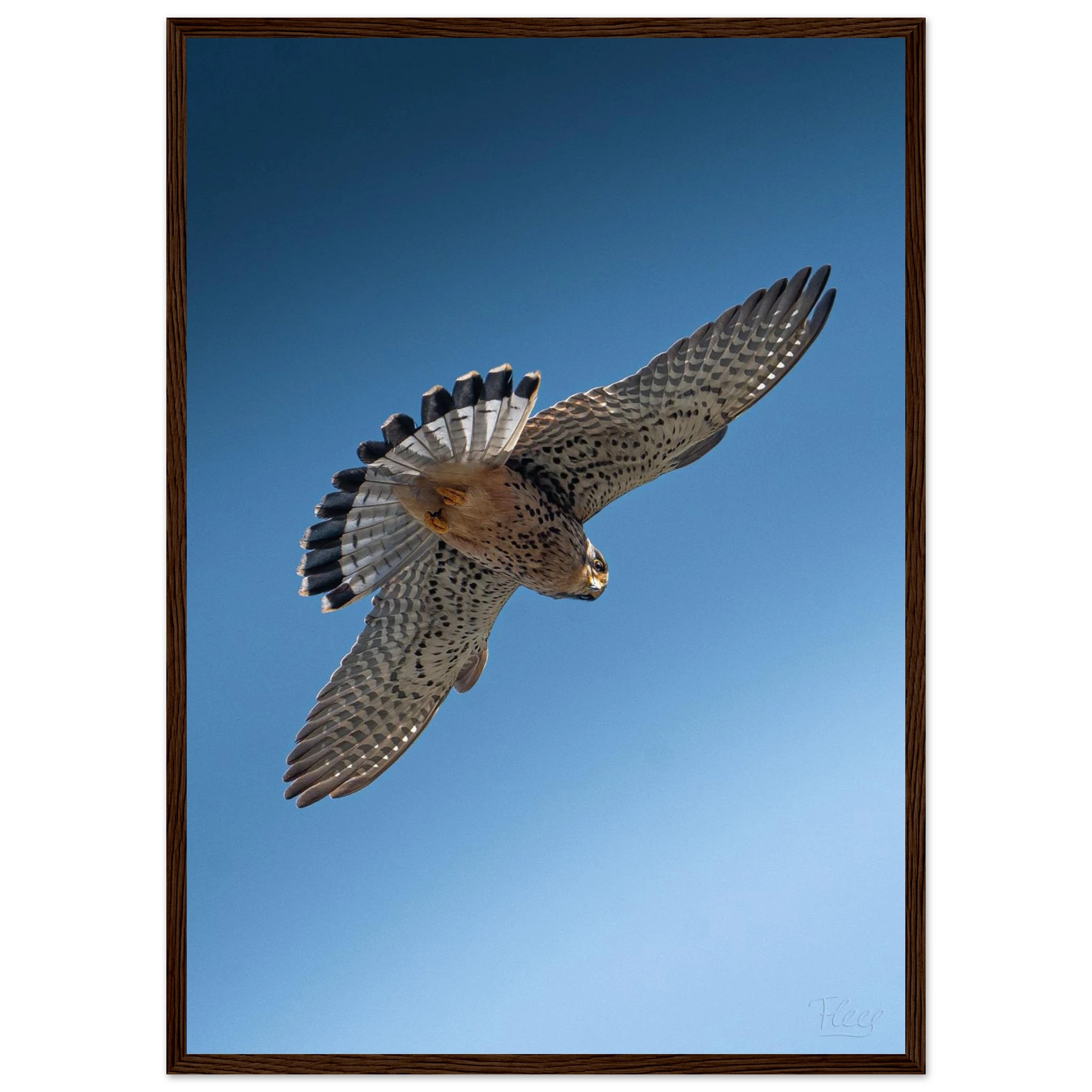 22c21609-f4d0-444b-a9a3-4909dc807c37