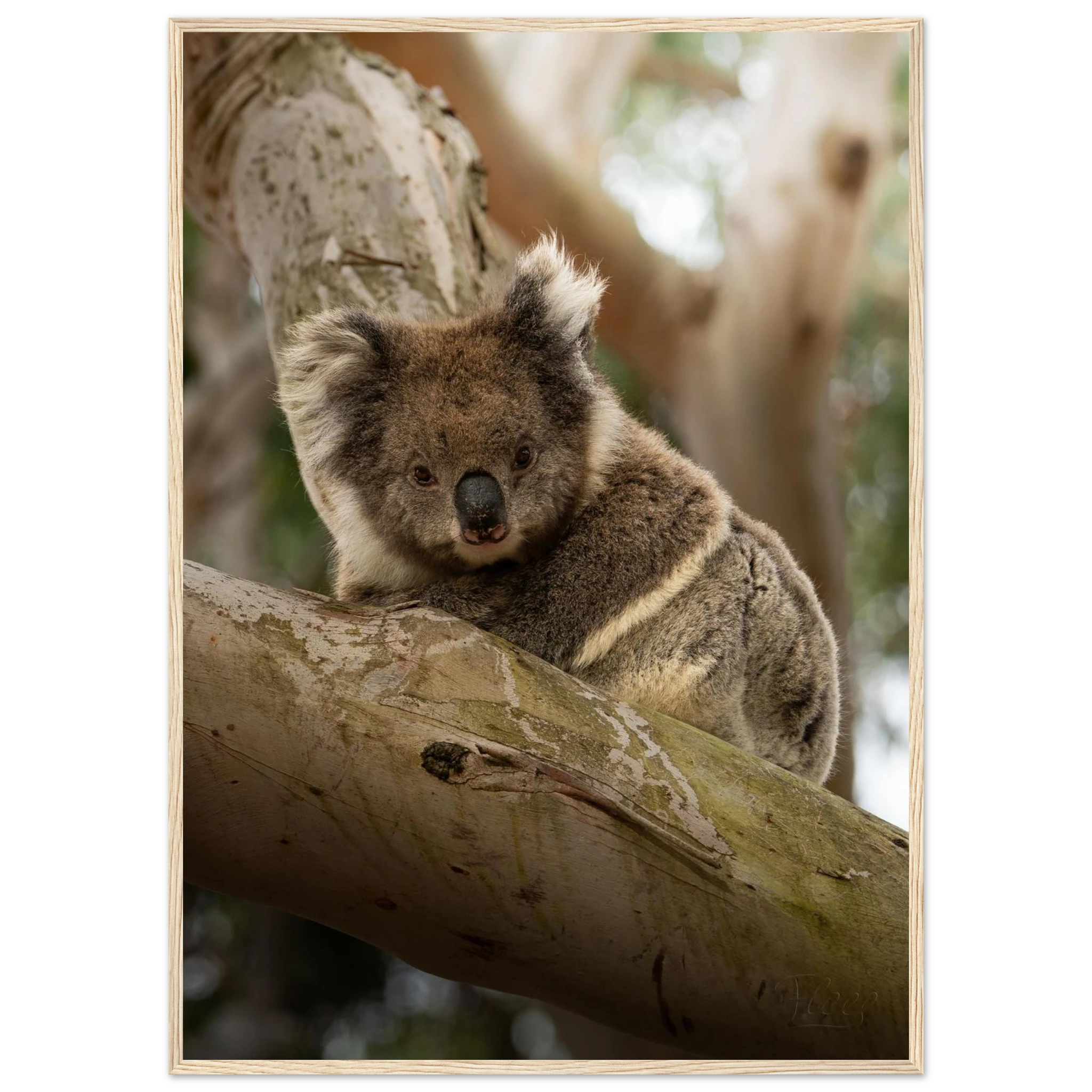 2300fb8d-8683-496c-b68b-c046540e5001