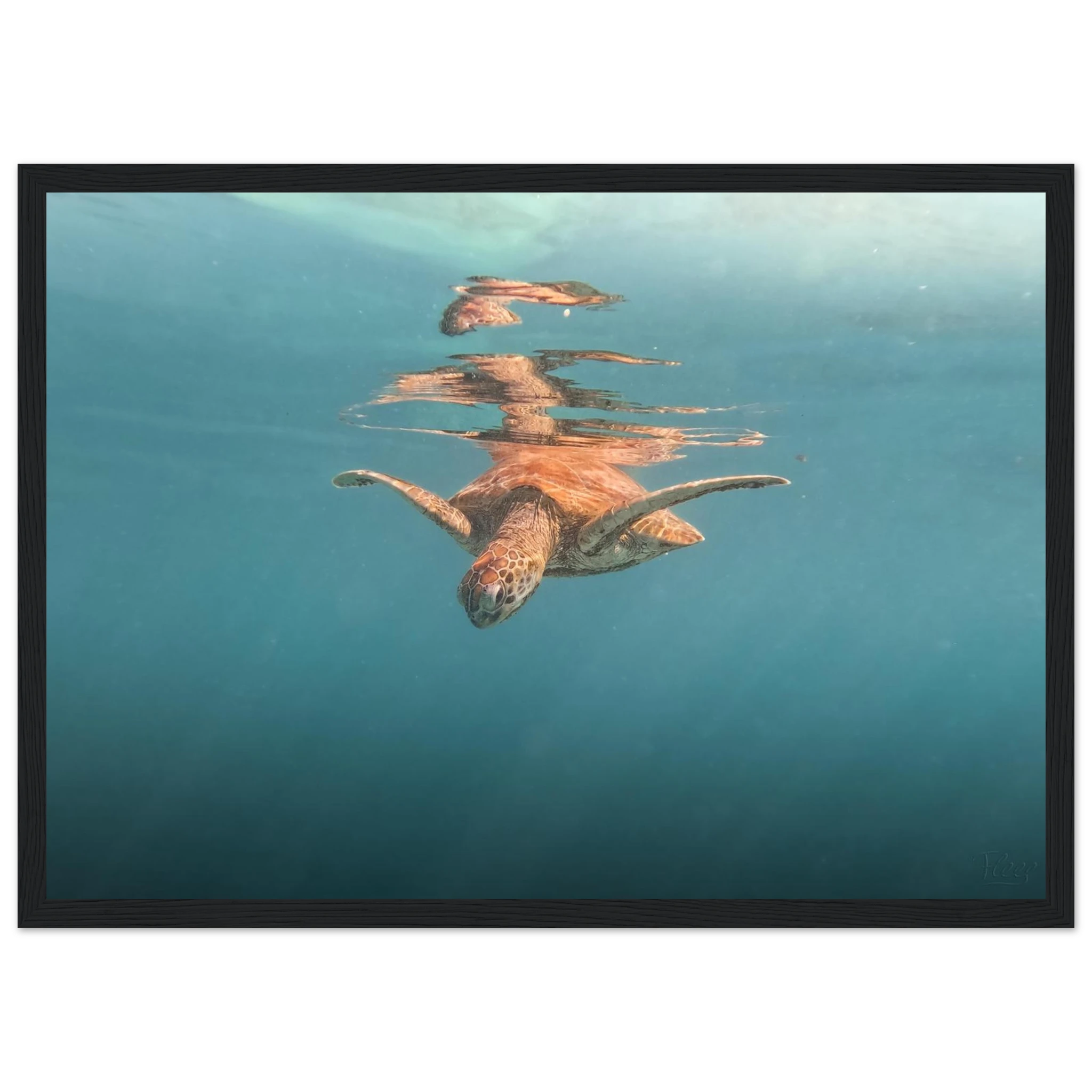 23041296-c7a4-4ddb-83eb-fd2634a840d7