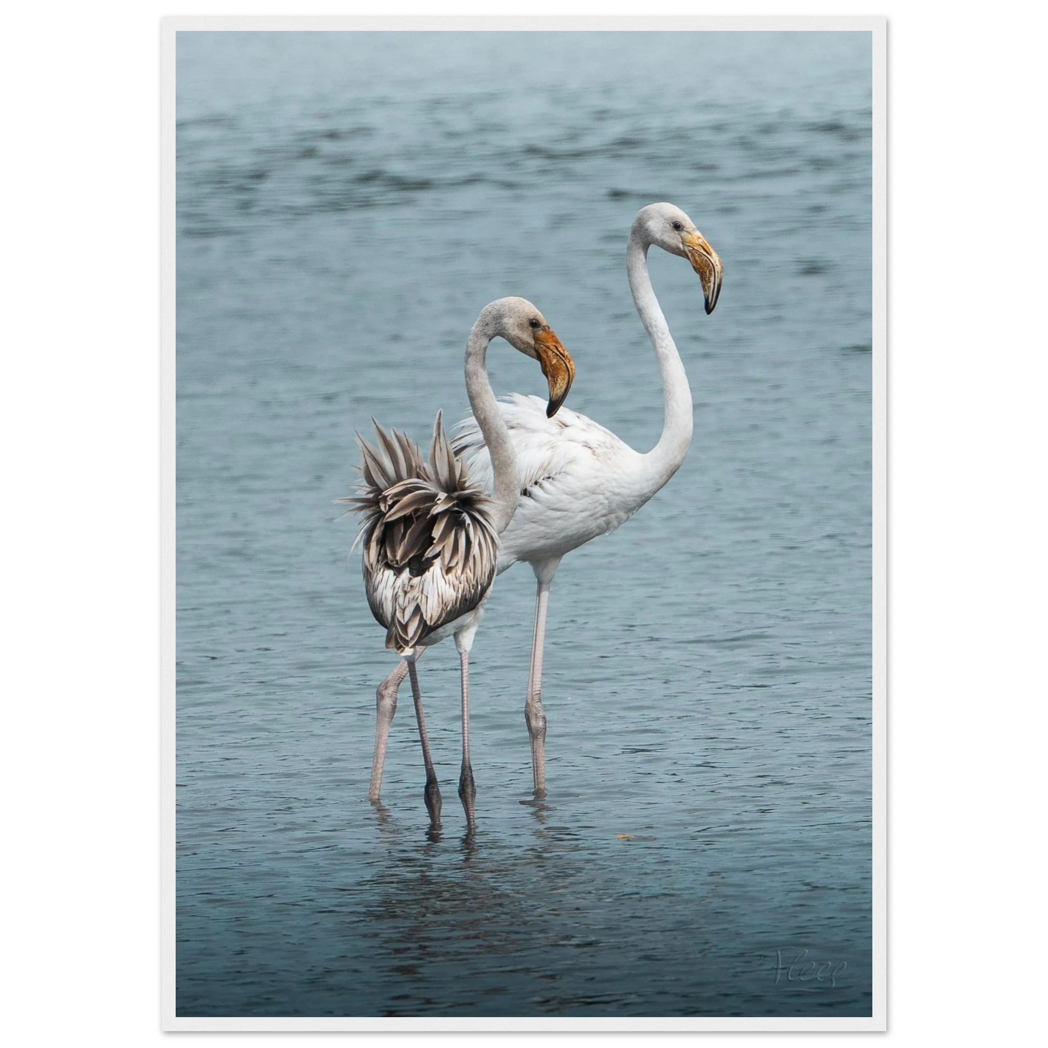 2313f529-7cfd-4836-aa8a-5d8a4e51e65a