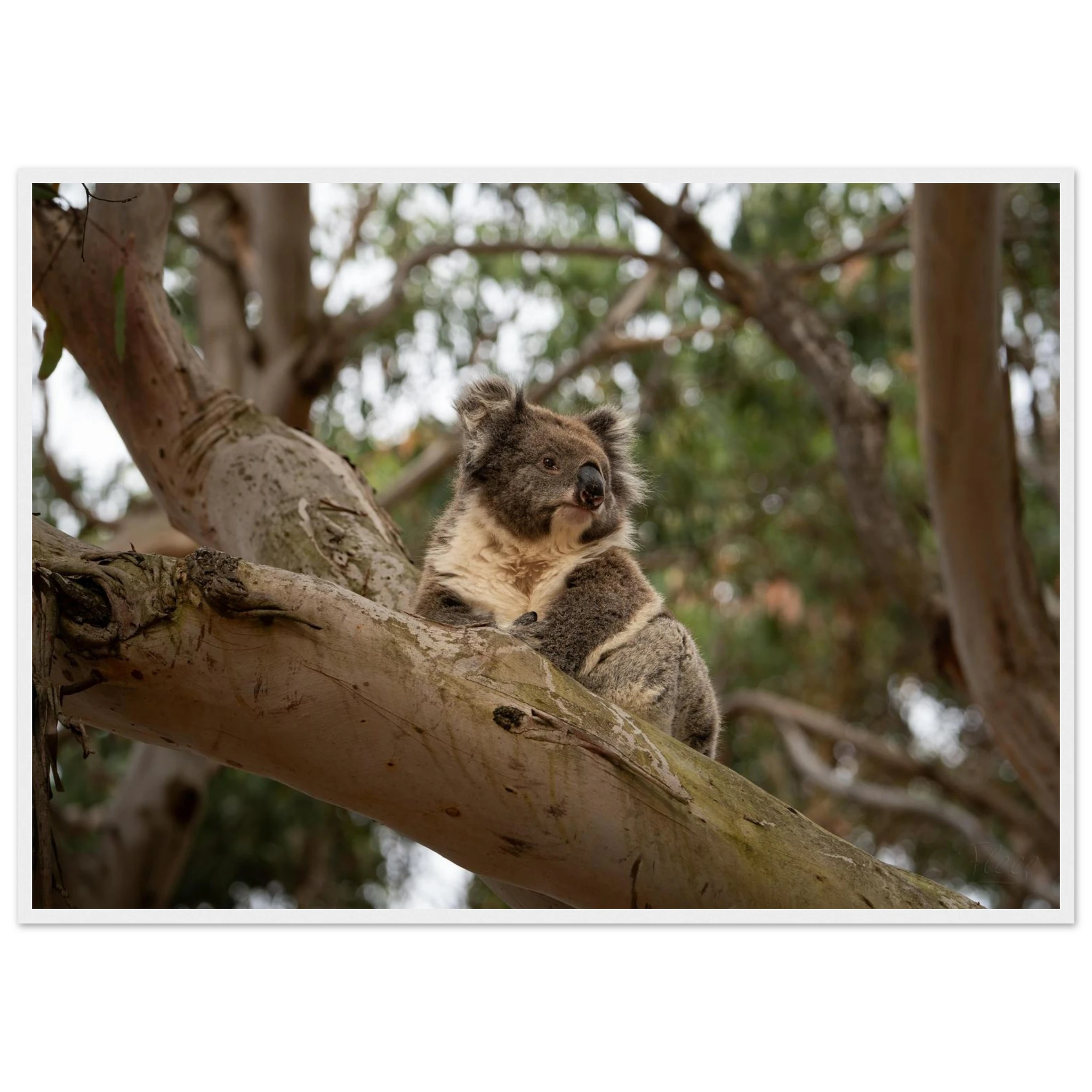 242e8fa2-b4fa-4280-88a9-92e70ec89081