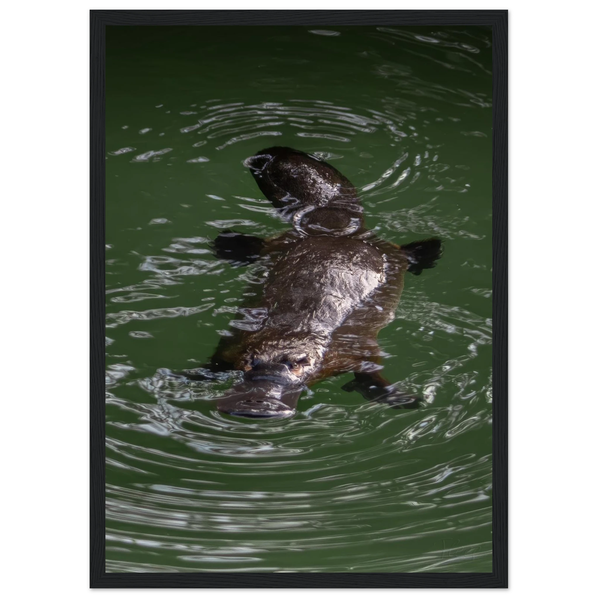 24470d80-f2e5-4251-a79e-8cdae82040c6