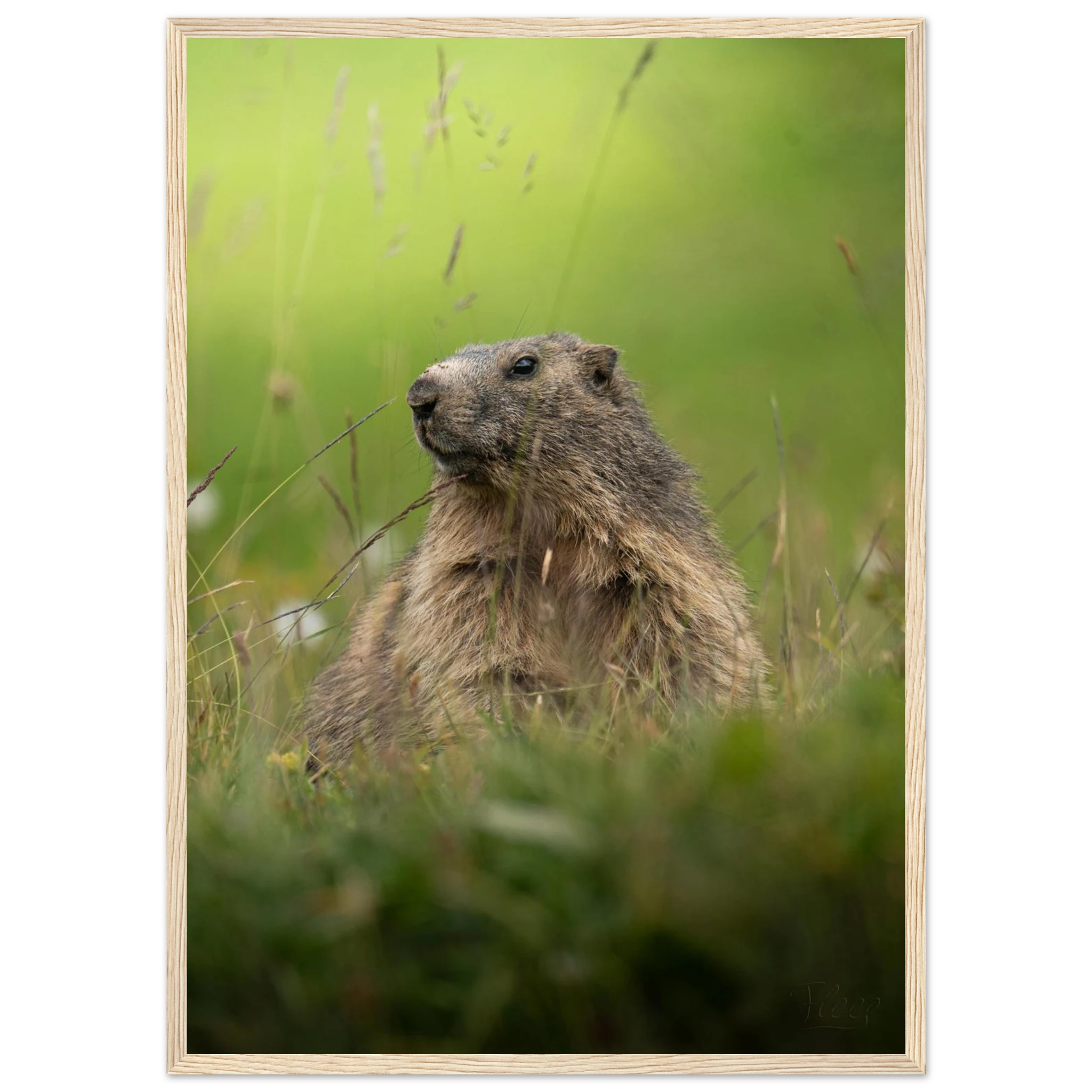 24b93072-0bd1-49d7-a63d-01841452977f