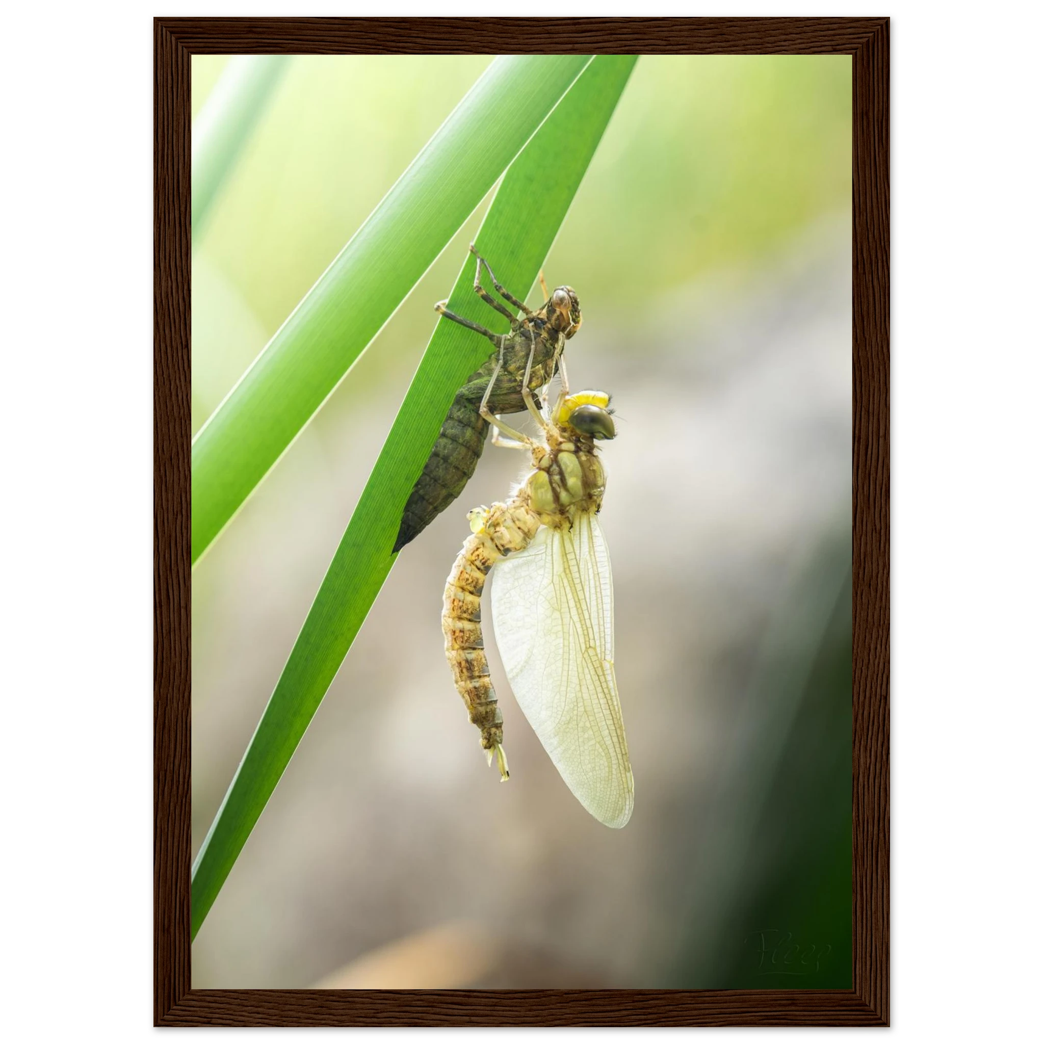 25287d3a-b929-4bbf-b05e-7d835380d9ff